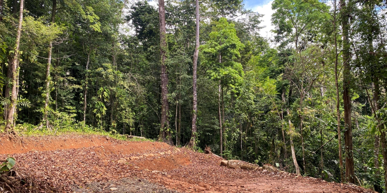 7 5+ Acres of Land with 4 Building Sites, Ocean Views, Rivers & Jungle with Wildlife on Cinco Ventanas Road in Ojochal Costa Rica