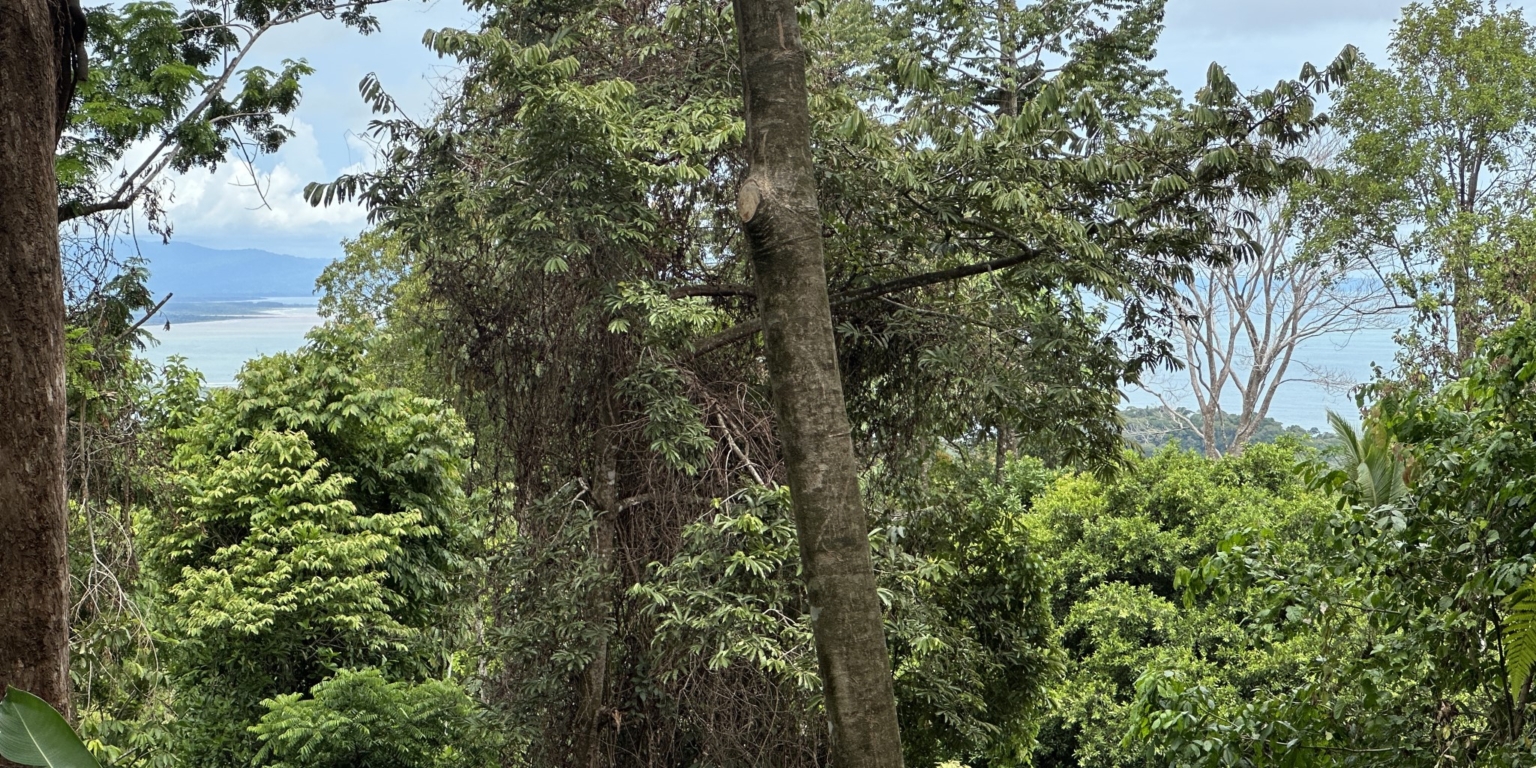 8 5+ Acres of Land with 4 Building Sites, Ocean Views, Rivers & Jungle with Wildlife on Cinco Ventanas Road in Ojochal Costa Rica