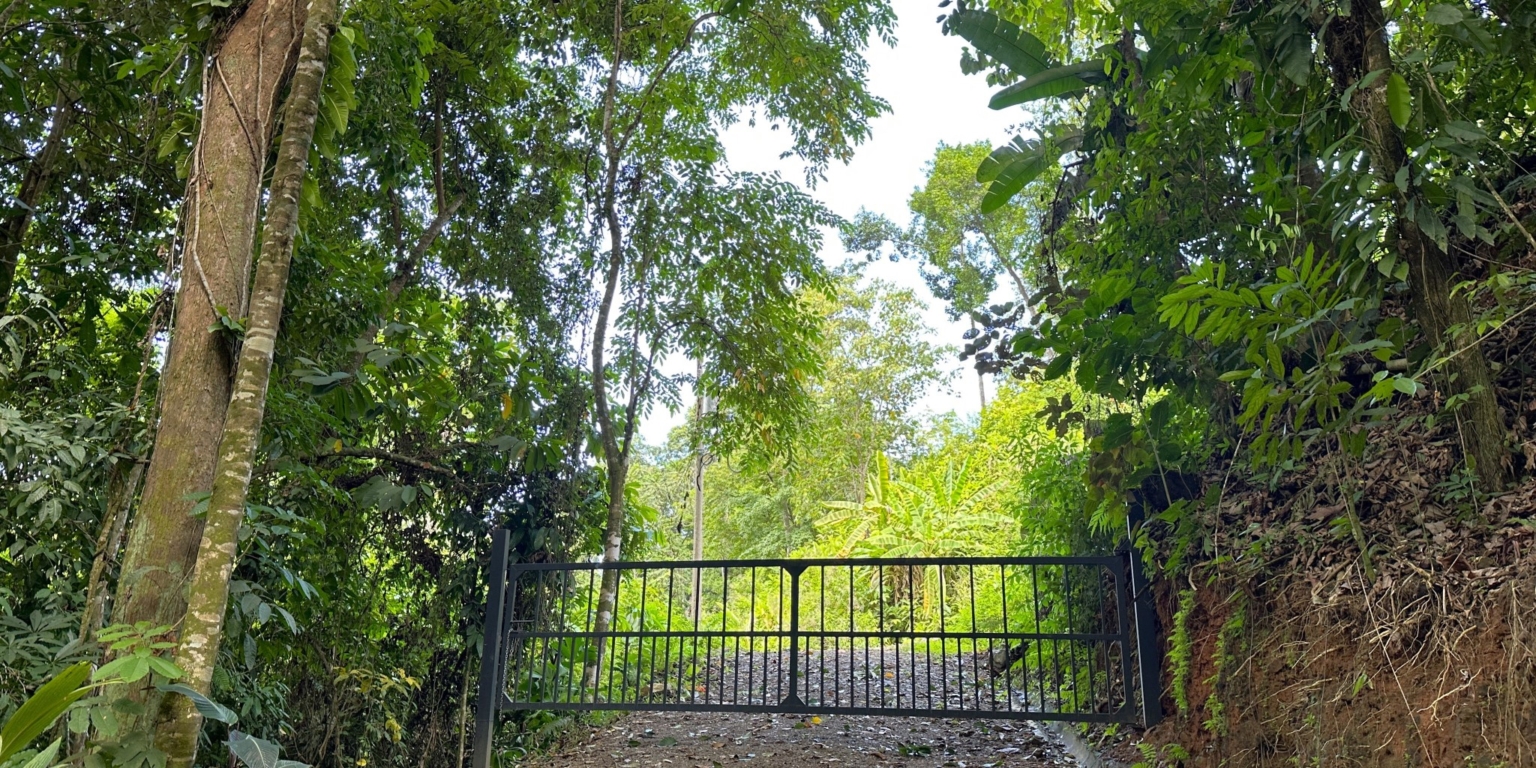 9 5+ Acres of Land with 4 Building Sites, Ocean Views, Rivers & Jungle with Wildlife on Cinco Ventanas Road in Ojochal Costa Rica