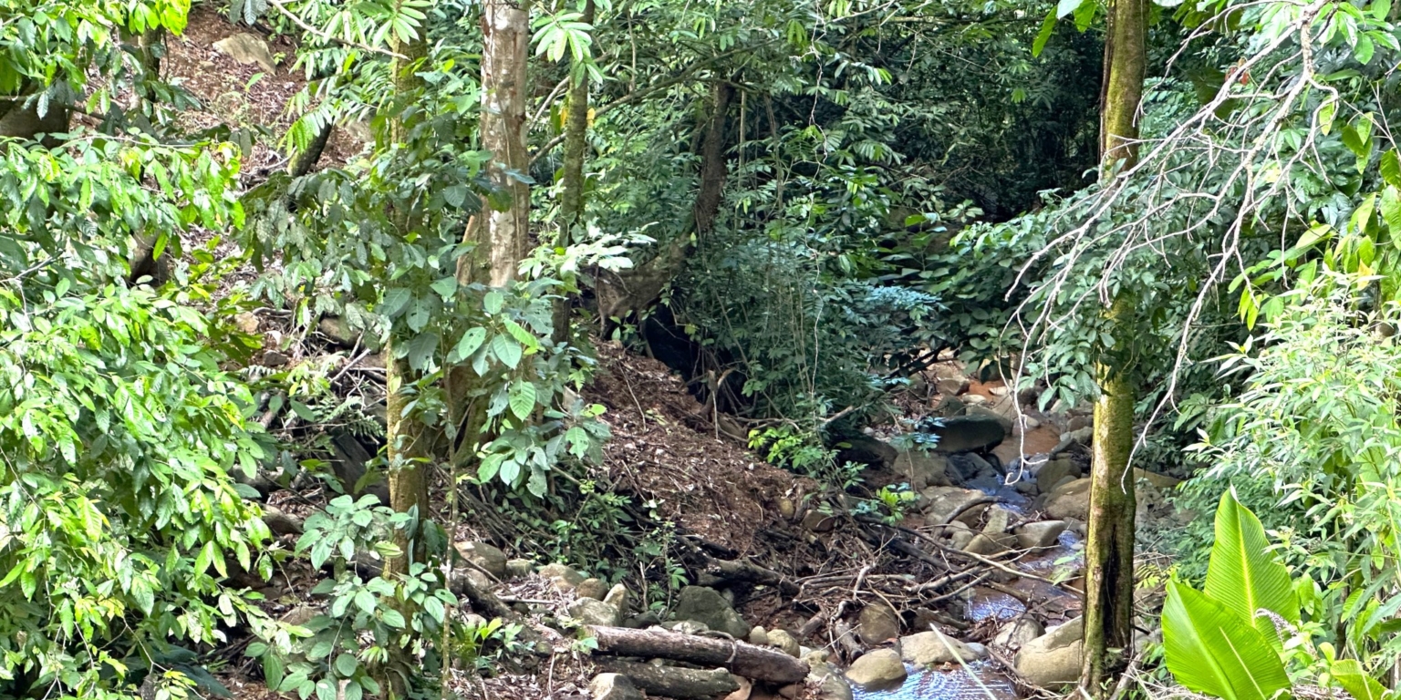 12 5+ Acres of Land with 4 Building Sites, Ocean Views, Rivers & Jungle with Wildlife on Cinco Ventanas Road in Ojochal Costa Rica