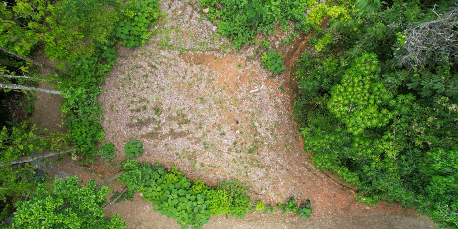 13 5+ Acres of Land with 4 Building Sites, Ocean Views, Rivers & Jungle with Wildlife on Cinco Ventanas Road in Ojochal Costa Rica