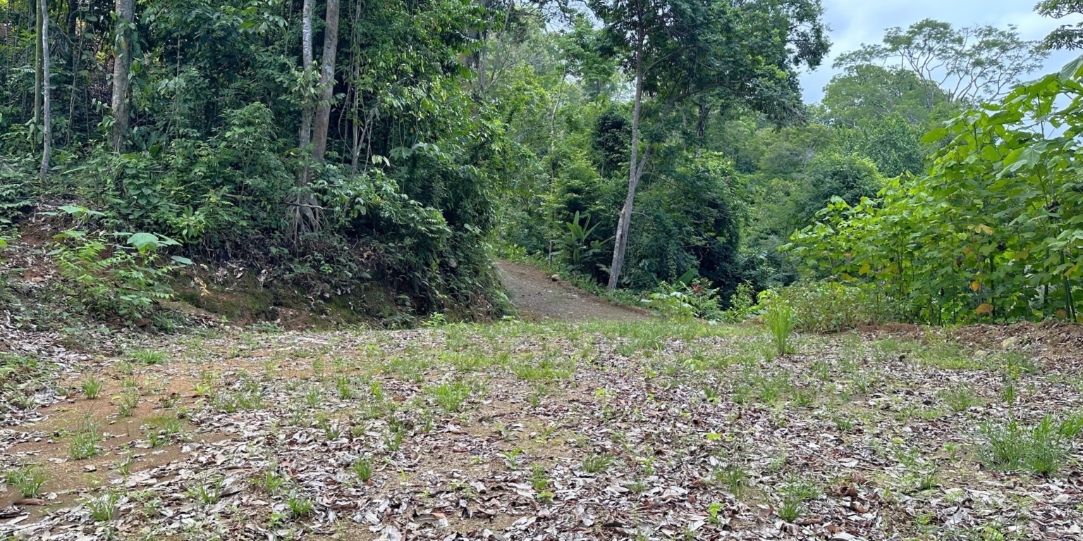 16 5+ Acres of Land with 4 Building Sites, Ocean Views, Rivers & Jungle with Wildlife on Cinco Ventanas Road in Ojochal Costa Rica