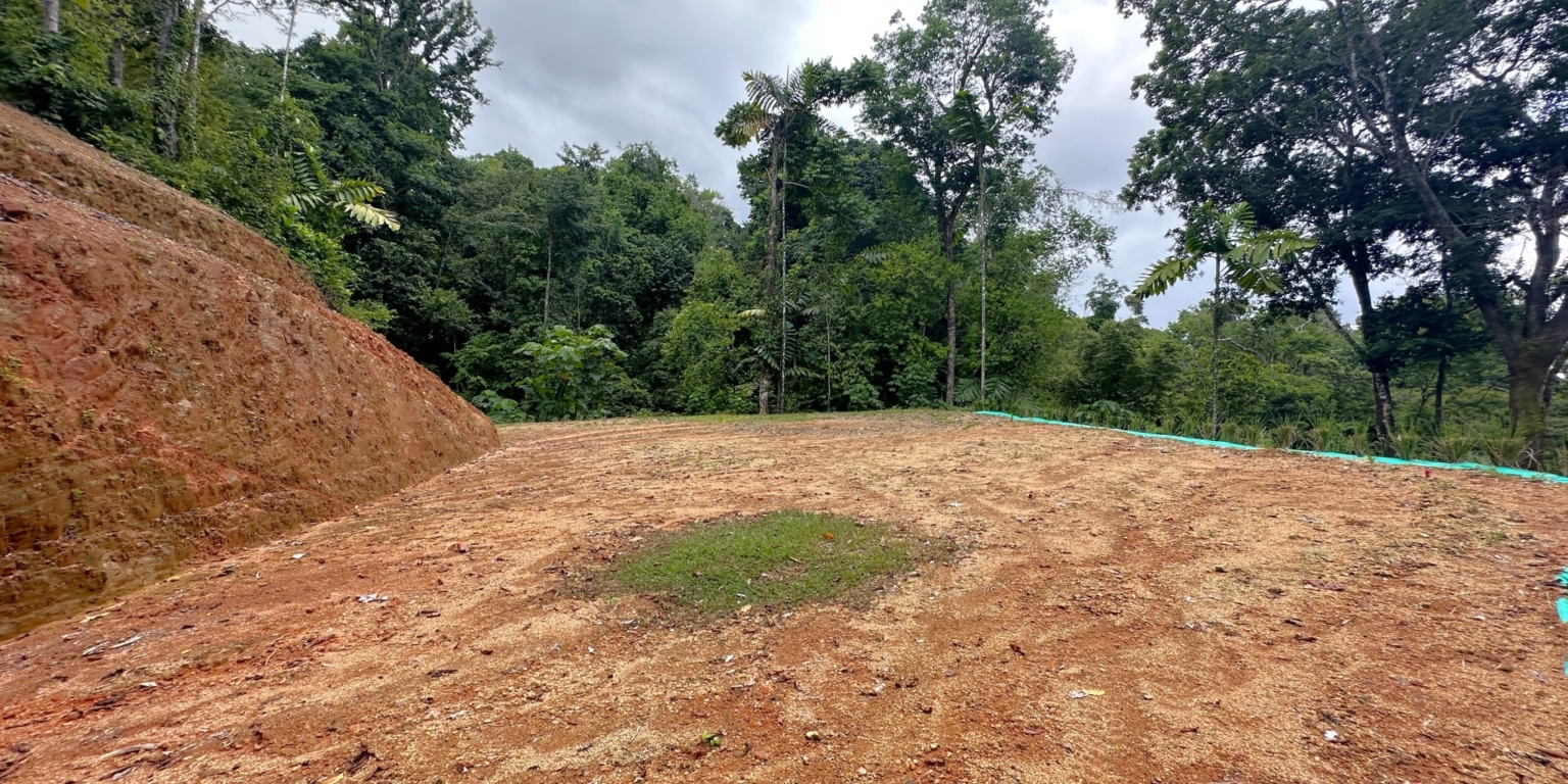 23 5+ Acres of Land with 4 Building Sites, Ocean Views, Rivers & Jungle with Wildlife on Cinco Ventanas Road in Ojochal Costa Rica