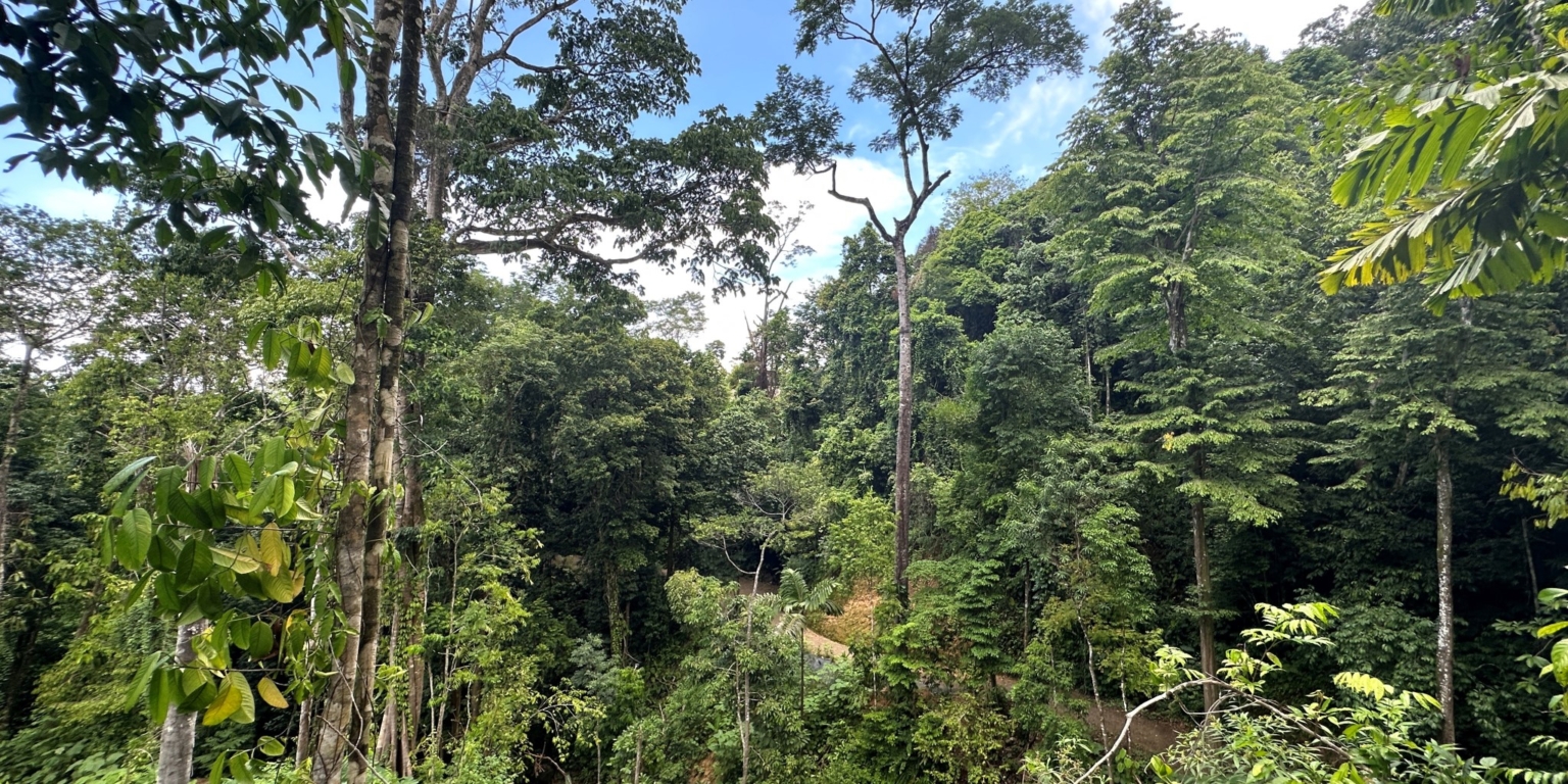 24 5+ Acres of Land with 4 Building Sites, Ocean Views, Rivers & Jungle with Wildlife on Cinco Ventanas Road in Ojochal Costa Rica