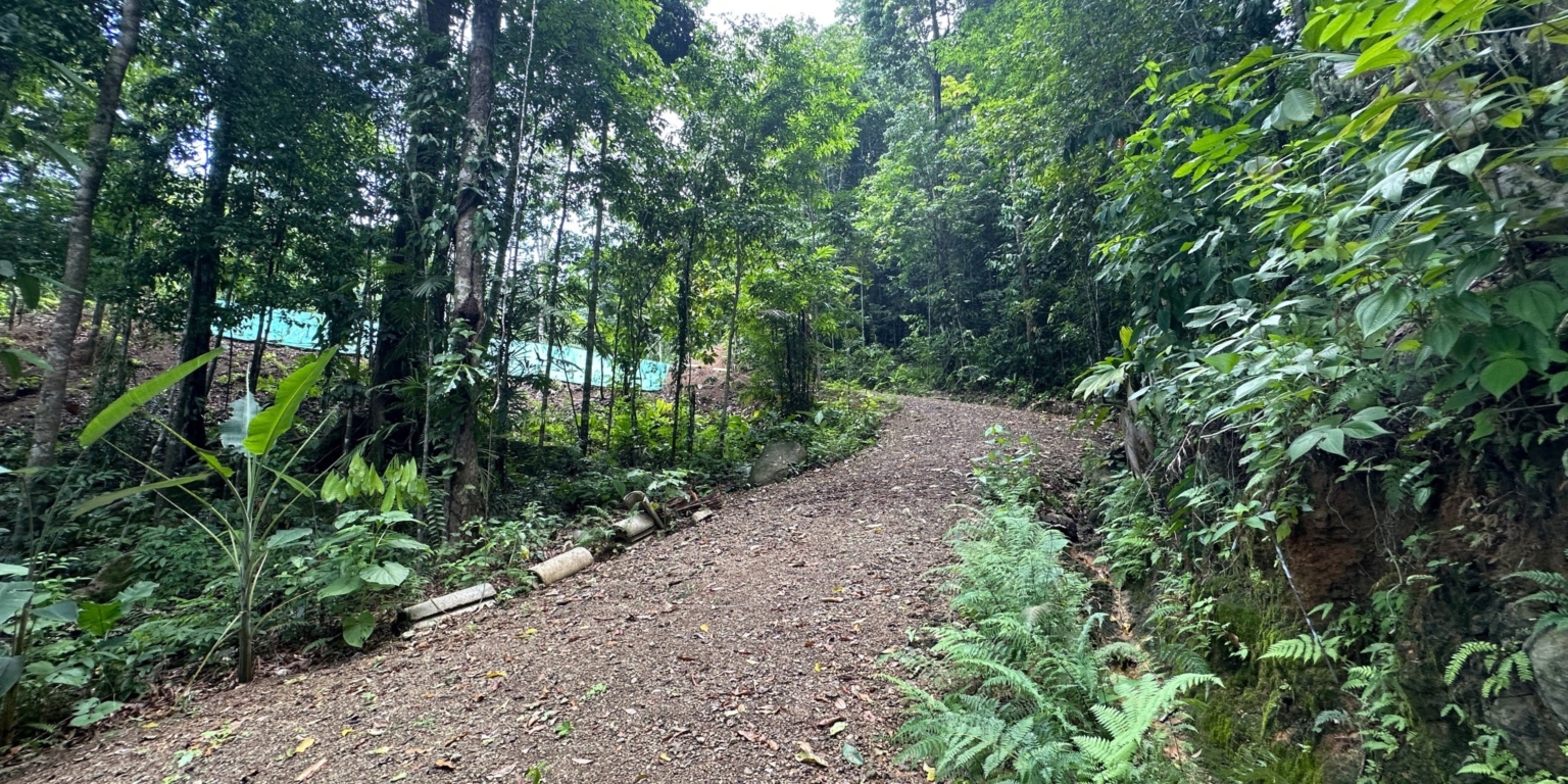 27 5+ Acres of Land with 4 Building Sites, Ocean Views, Rivers & Jungle with Wildlife on Cinco Ventanas Road in Ojochal Costa Rica