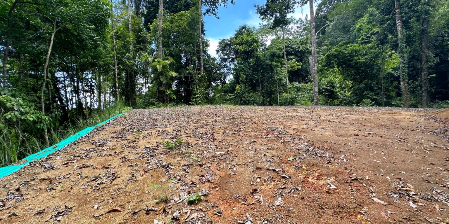 28 5+ Acres of Land with 4 Building Sites, Ocean Views, Rivers & Jungle with Wildlife on Cinco Ventanas Road in Ojochal Costa Rica