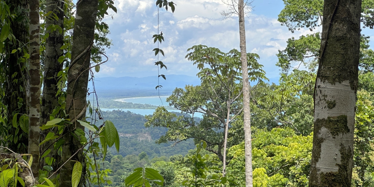 29 5+ Acres of Land with 4 Building Sites, Ocean Views, Rivers & Jungle with Wildlife on Cinco Ventanas Road in Ojochal Costa Rica