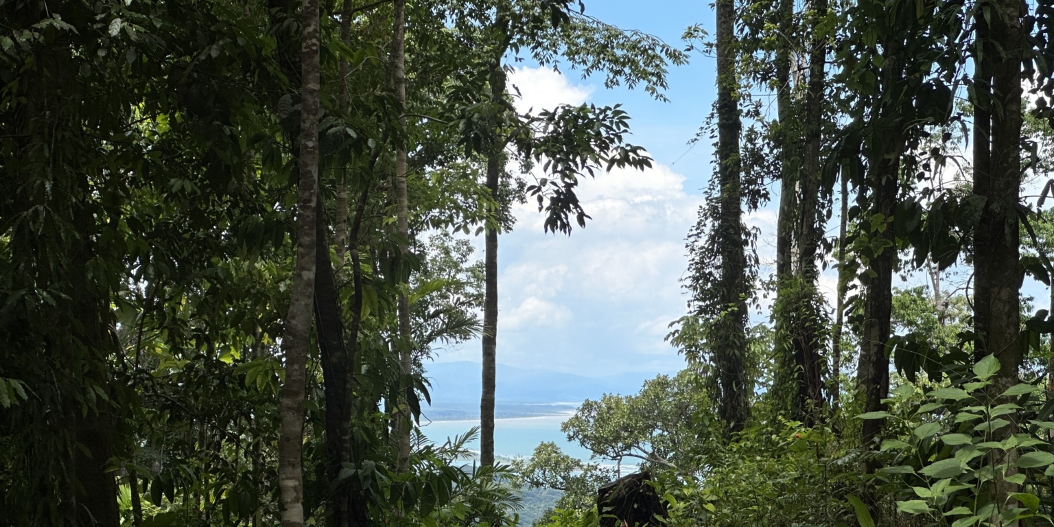 30 5+ Acres of Land with 4 Building Sites, Ocean Views, Rivers & Jungle with Wildlife on Cinco Ventanas Road in Ojochal Costa Rica