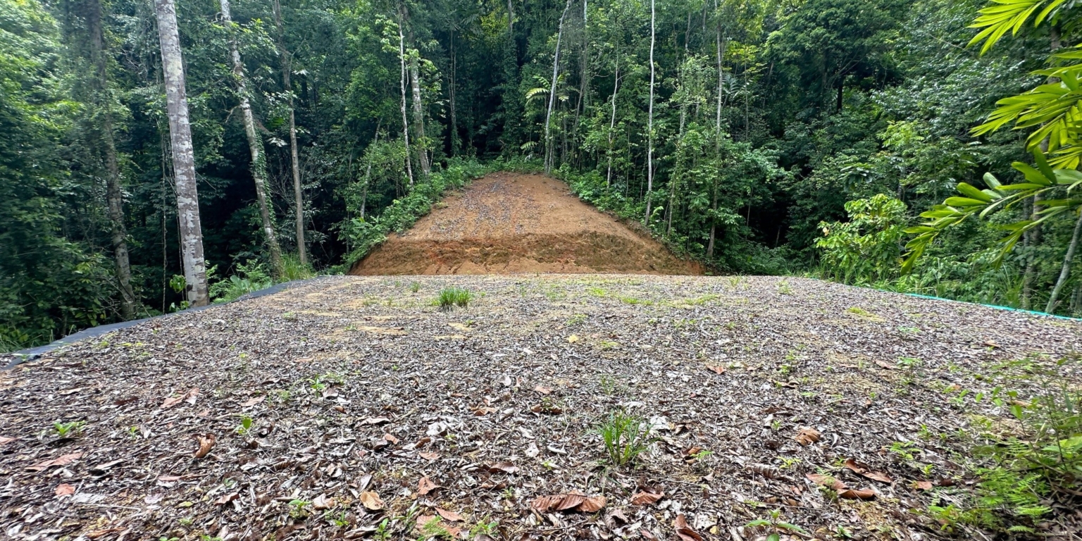 32 5+ Acres of Land with 4 Building Sites, Ocean Views, Rivers & Jungle with Wildlife on Cinco Ventanas Road in Ojochal Costa Rica