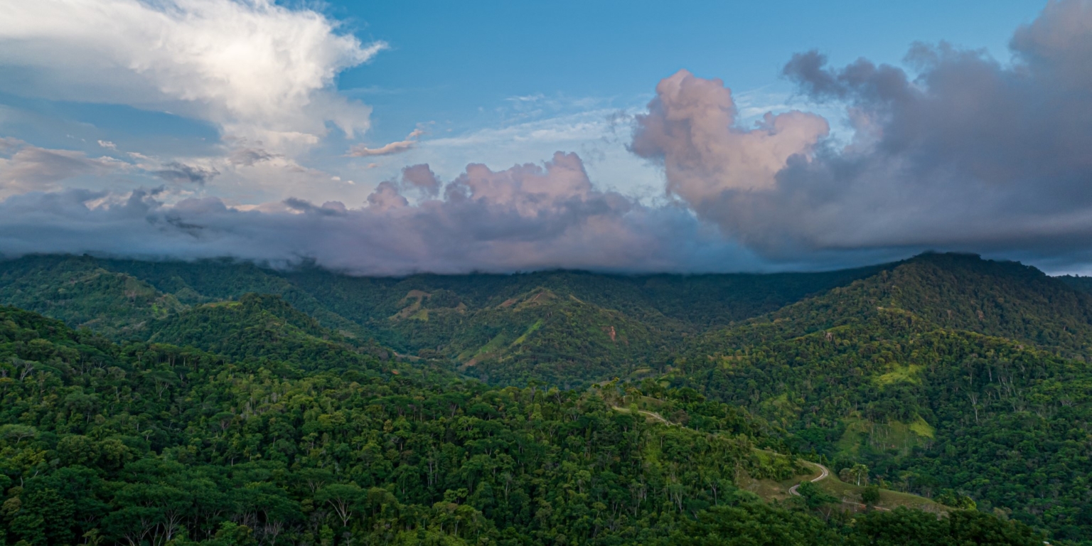 Beautiful 3-Bedroom Ocean View Home on 6 Acres of Land for Privacy in Uvita Cost Rica Beautiful 3-Bedroom Ocean View Home on 6 Acres of Land for Privacy in Uvita Cost Rica