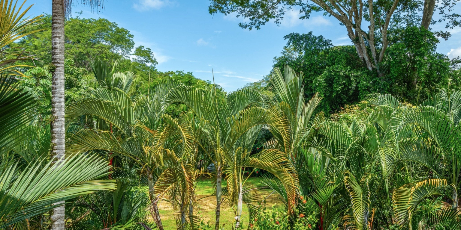 Villa Westy-038 Newly-Renovated 3-Bedroom Villa Just Steps to the Beach & Town in Dominical Costa Rica