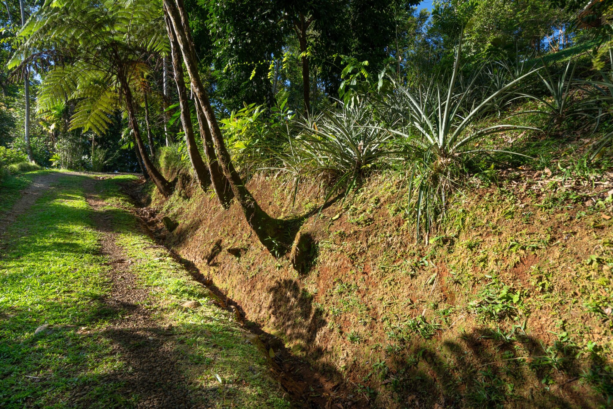 Luxury Off-Grid Boutique Hotel/Resort with 5 Rentable Units in the Clouds above Matapalo Costa Rica Luxury Off-Grid Boutique Hotel/Resort with 5 Rentable Units in the Clouds above Matapalo Costa Rica