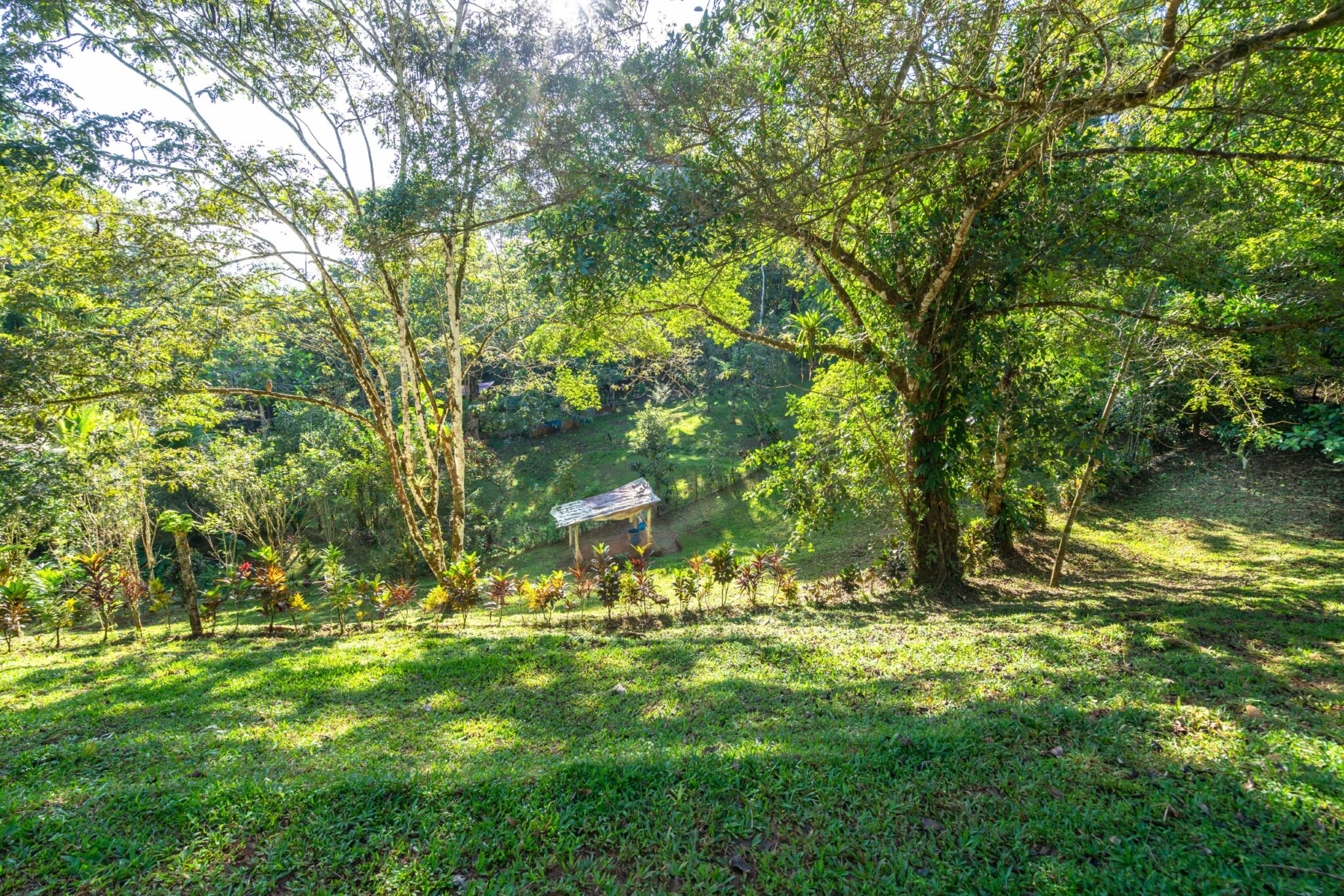 Luxury Off-Grid Boutique Hotel/Resort with 5 Rentable Units in the Clouds above Matapalo Costa Rica Luxury Off-Grid Boutique Hotel/Resort with 5 Rentable Units in the Clouds above Matapalo Costa Rica