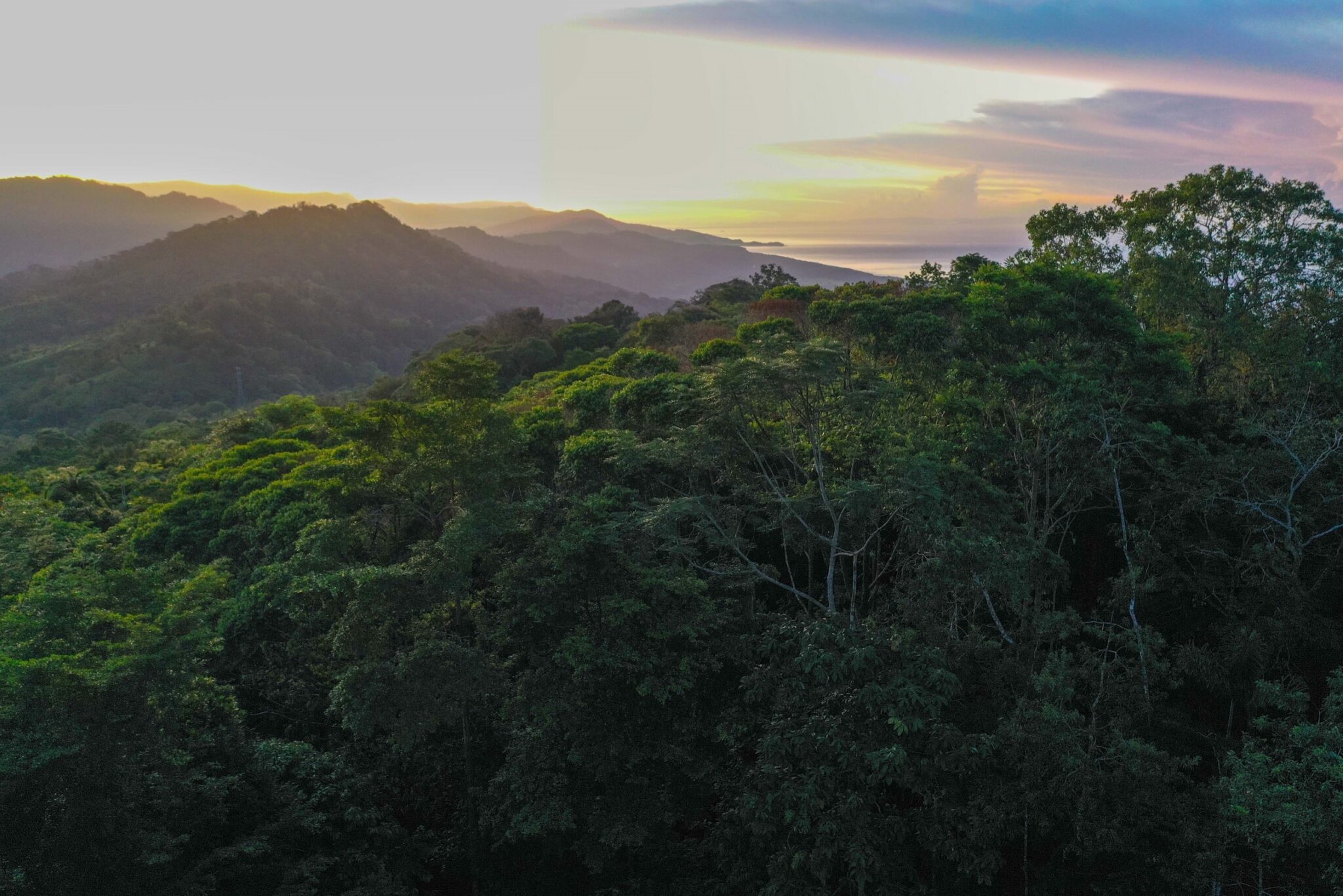 Luxury Off-Grid Boutique Hotel/Resort with 5 Rentable Units in the Clouds above Matapalo Costa Rica Luxury Off-Grid Boutique Hotel/Resort with 5 Rentable Units in the Clouds above Matapalo Costa Rica