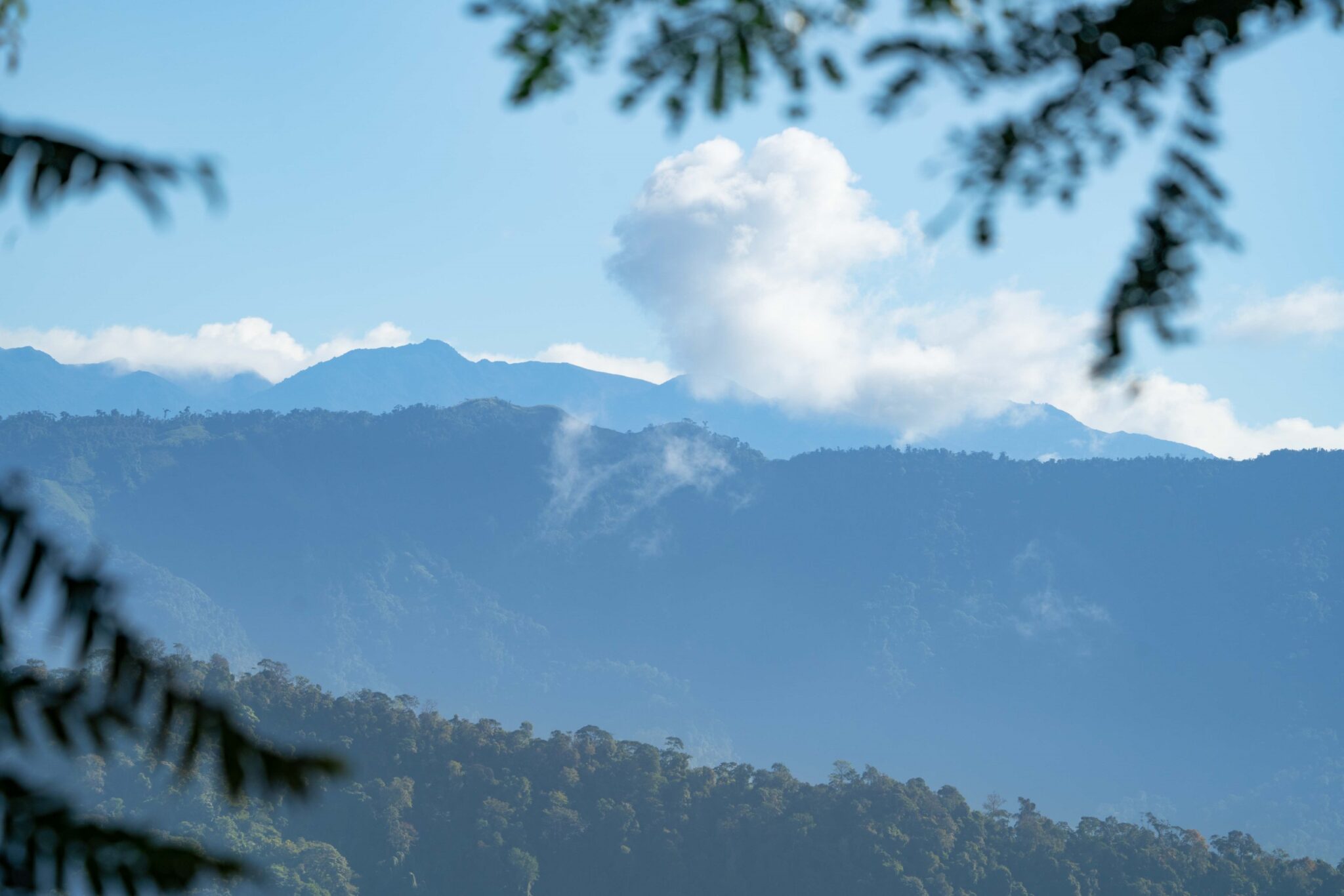 Luxury Off-Grid Boutique Hotel/Resort with 5 Rentable Units in the Clouds above Matapalo Costa Rica Luxury Off-Grid Boutique Hotel/Resort with 5 Rentable Units in the Clouds above Matapalo Costa Rica