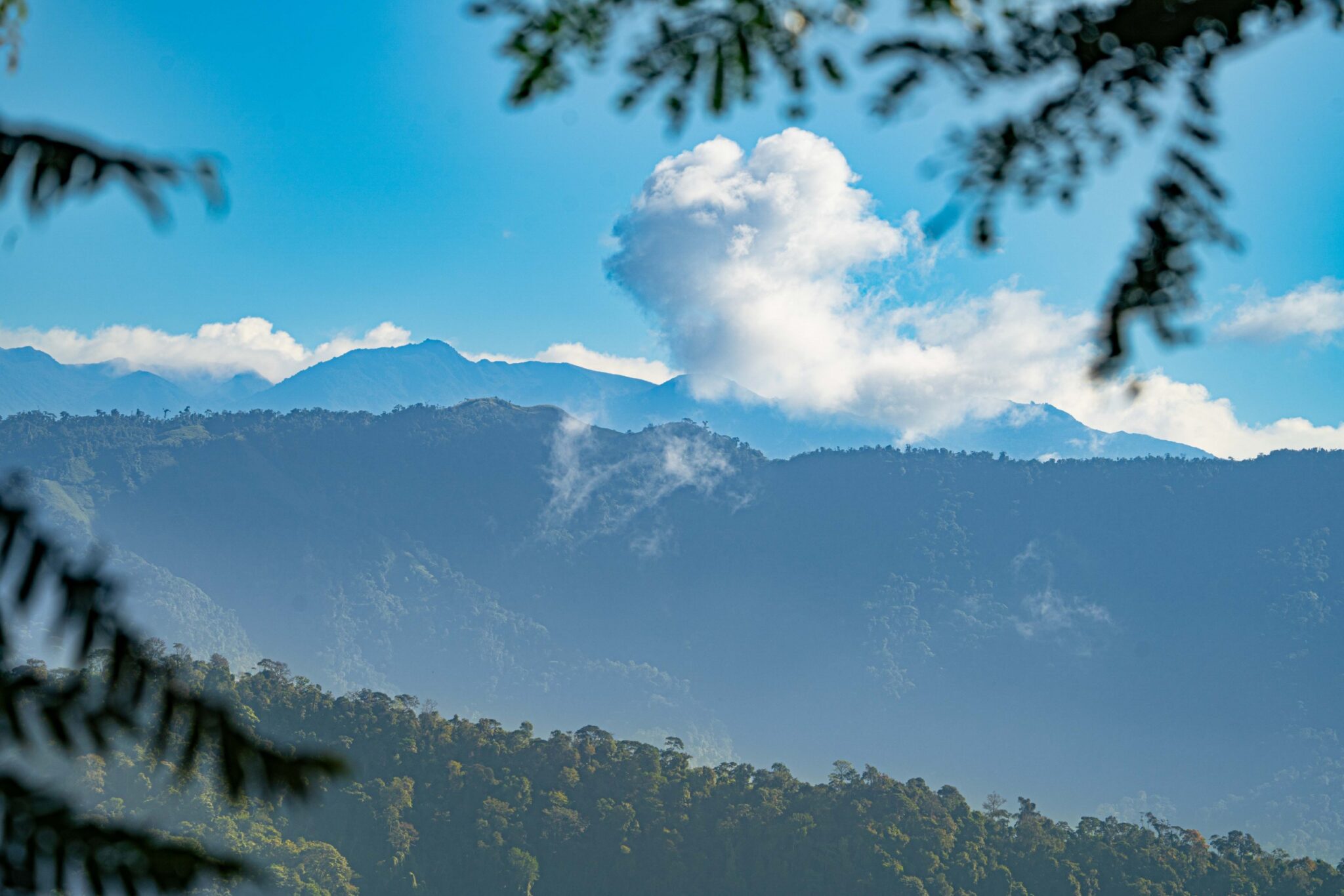 Luxury Off-Grid Boutique Hotel/Resort with 5 Rentable Units in the Clouds above Matapalo Costa Rica Luxury Off-Grid Boutique Hotel/Resort with 5 Rentable Units in the Clouds above Matapalo Costa Rica