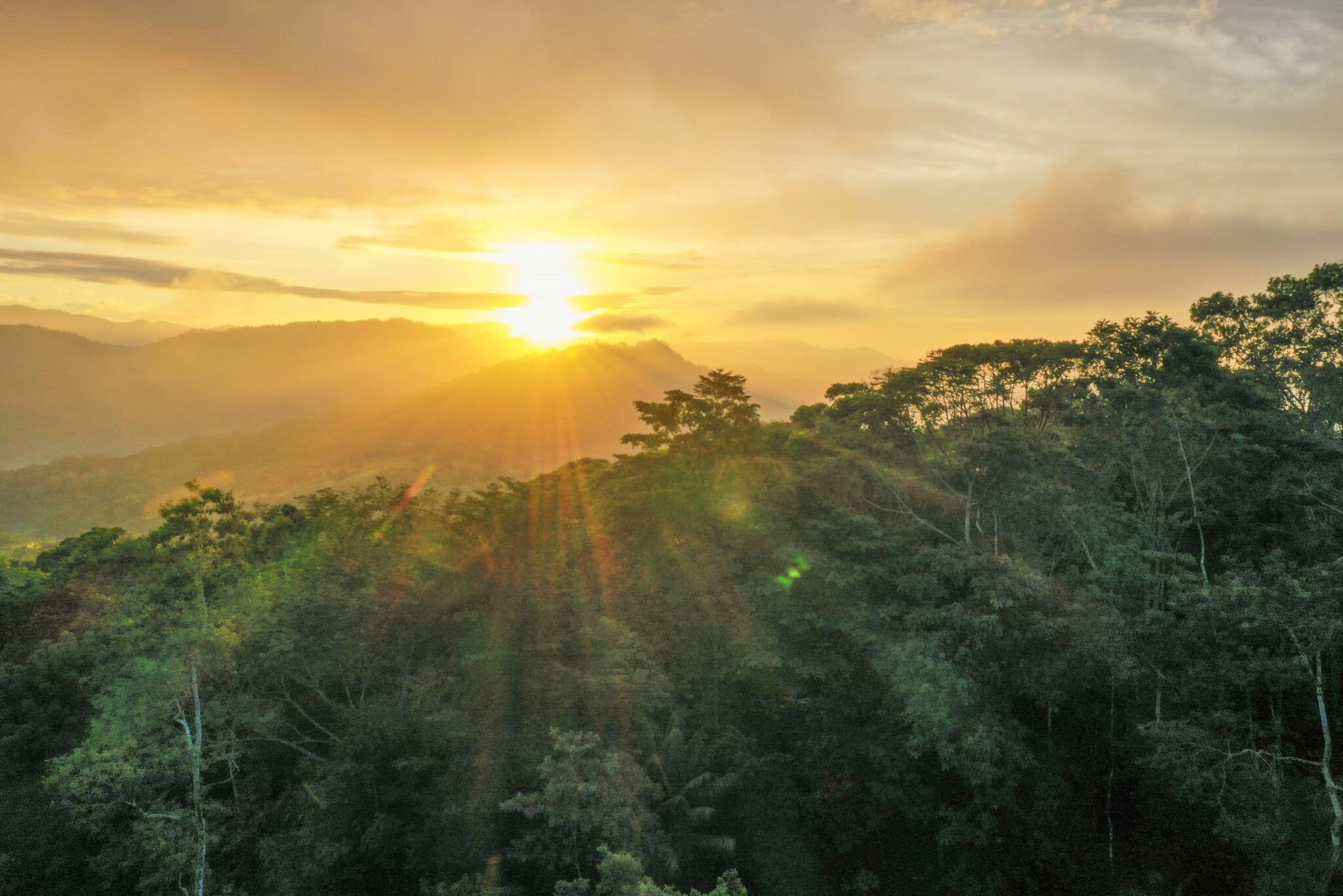 Luxury Off-Grid Boutique Hotel/Resort with 5 Rentable Units in the Clouds above Matapalo Costa Rica Luxury Off-Grid Boutique Hotel/Resort with 5 Rentable Units in the Clouds above Matapalo Costa Rica
