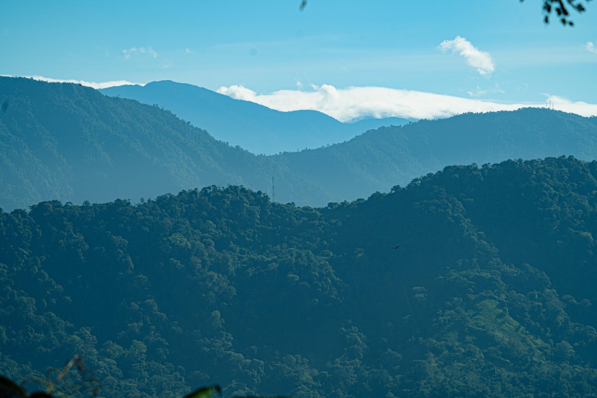 Luxury Off-Grid Boutique Hotel/Resort with 5 Rentable Units in the Clouds above Matapalo Costa Rica Luxury Off-Grid Boutique Hotel/Resort with 5 Rentable Units in the Clouds above Matapalo Costa Rica