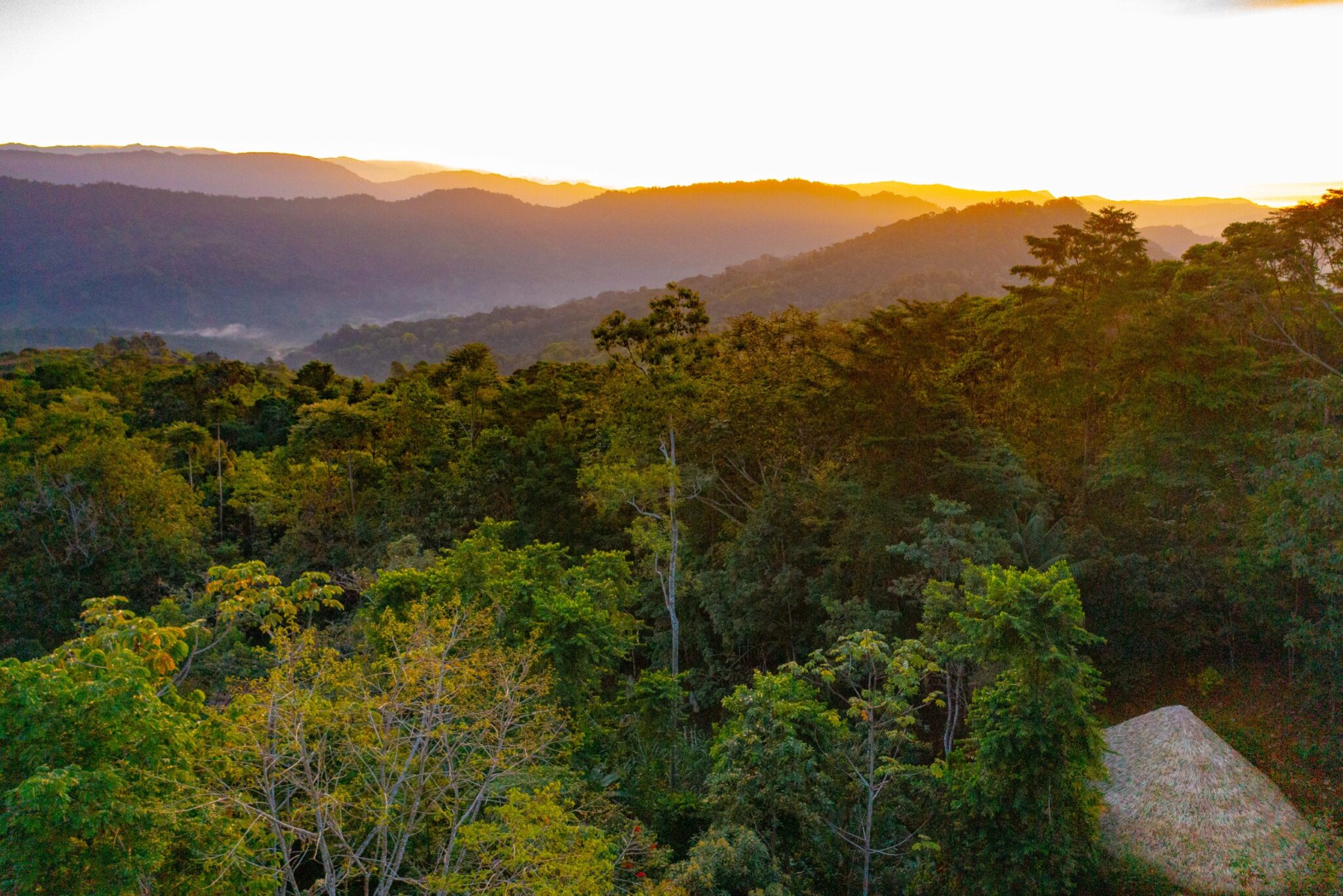 Luxury Off-Grid Boutique Hotel/Resort with 5 Rentable Units in the Clouds above Matapalo Costa Rica Luxury Off-Grid Boutique Hotel/Resort with 5 Rentable Units in the Clouds above Matapalo Costa Rica