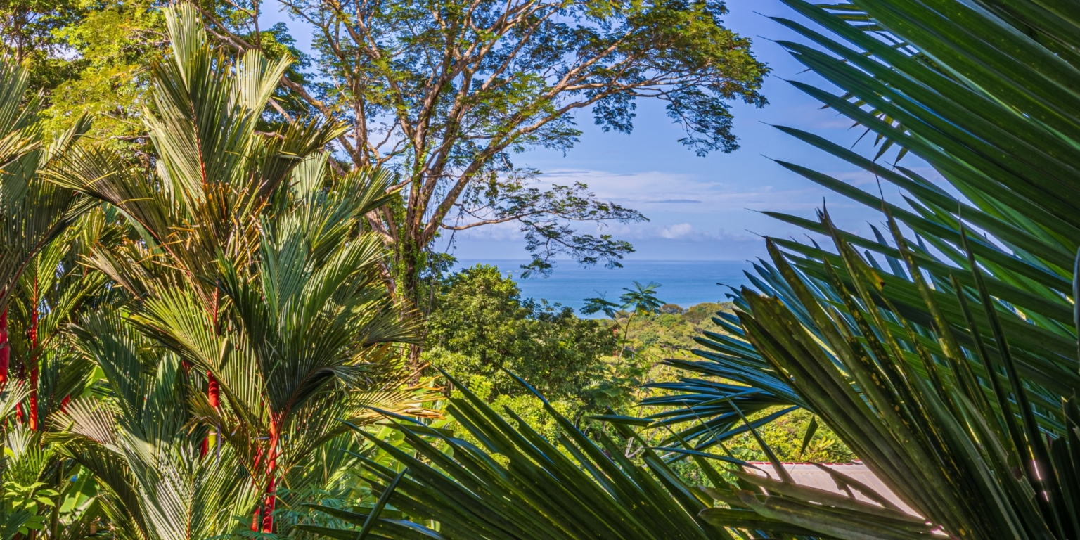 Luxurious 4-Bedroom Villa with Natural Surroundings, Unique Island Ocean Views & Rental History in Bahia Ballena near Ojochal & Uvita Costa Rica