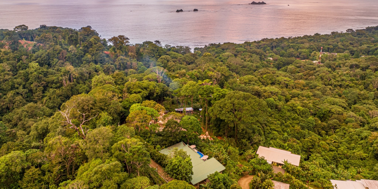 Luxurious 4-Bedroom Villa with Natural Surroundings, Unique Island Ocean Views & Rental History in Bahia Ballena near Ojochal & Uvita Costa Rica