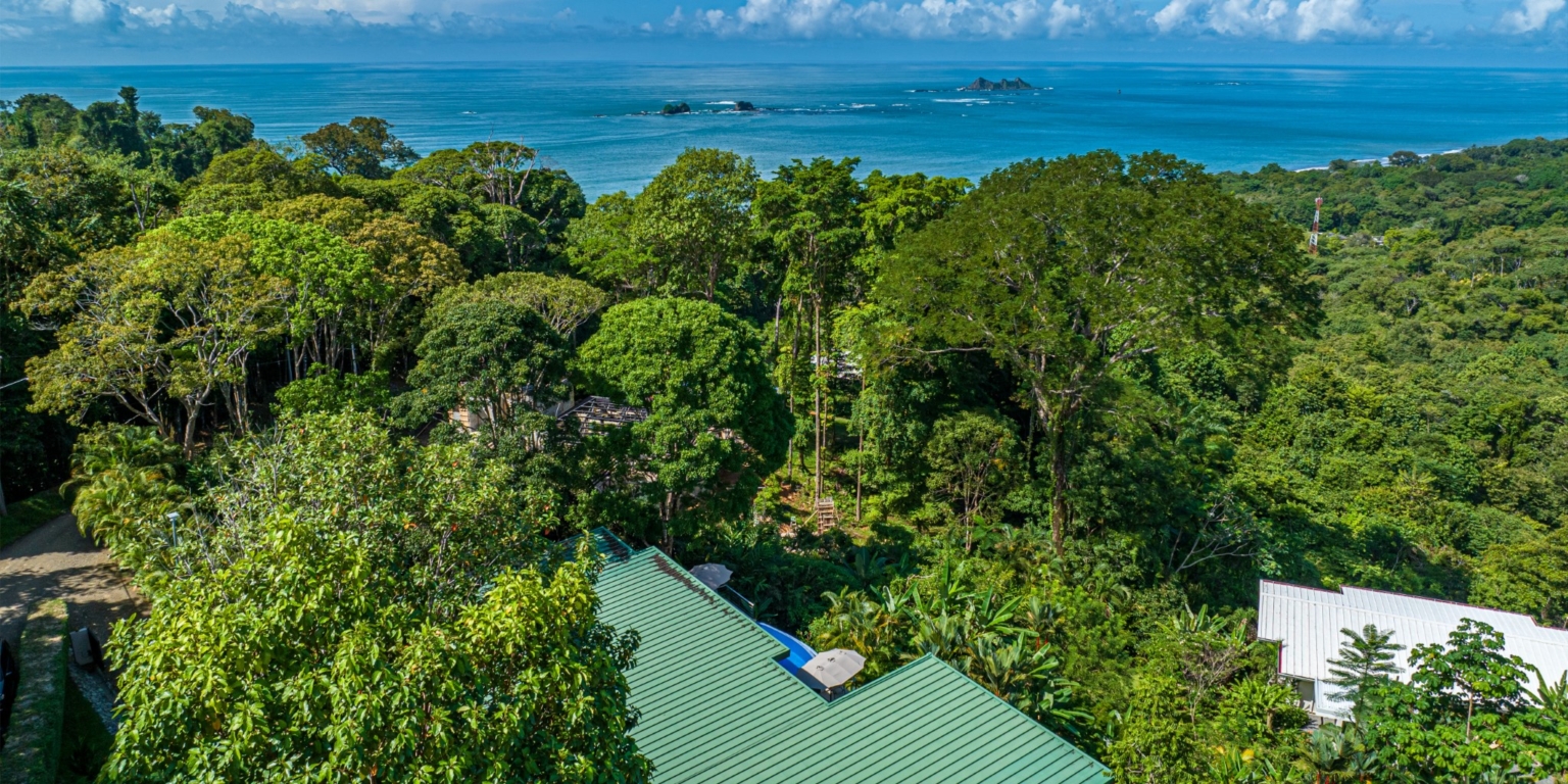 Luxurious 4-Bedroom Villa with Natural Surroundings, Unique Island Ocean Views & Rental History in Bahia Ballena near Ojochal & Uvita Costa Rica