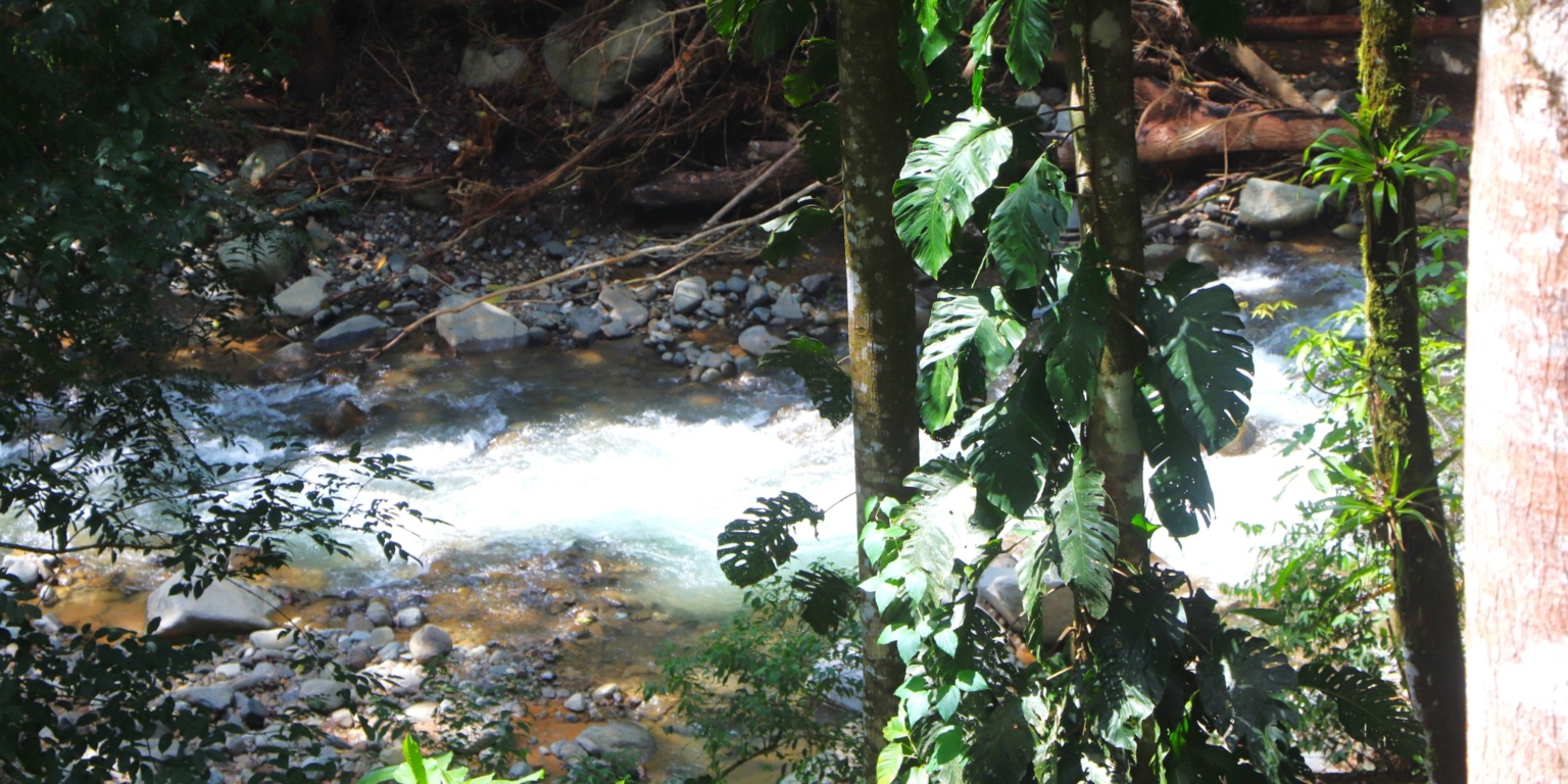 Jungle, Rivers, a Waterfall & Panoramic Ocean View with Easy Access Close to All Amenities in Ojochal Costa Rica