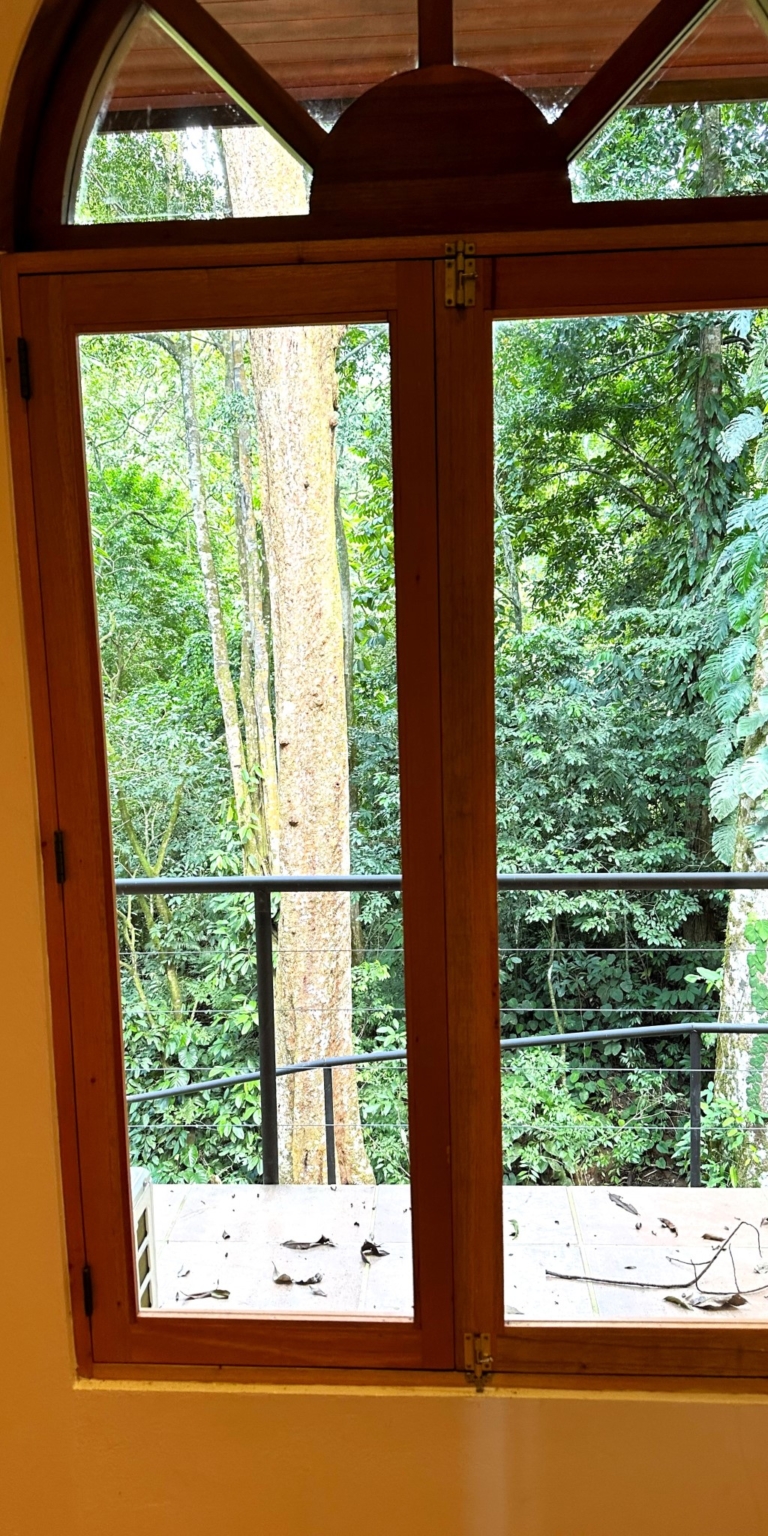 Jungle, Rivers, a Waterfall & Panoramic Ocean View with Easy Access Close to All Amenities in Ojochal Costa Rica