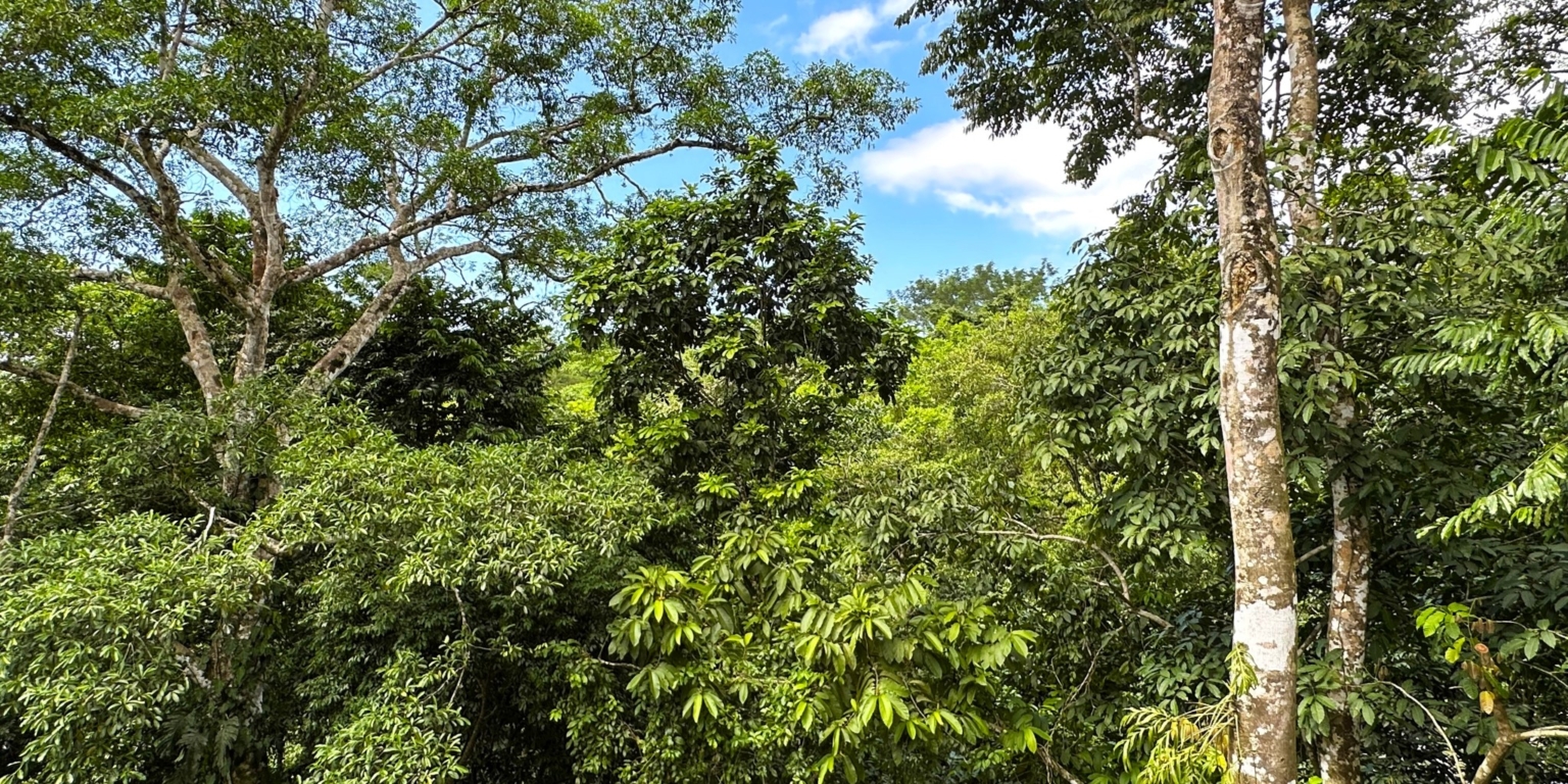 Jungle, Rivers, a Waterfall & Panoramic Ocean View with Easy Access Close to All Amenities in Ojochal Costa Rica