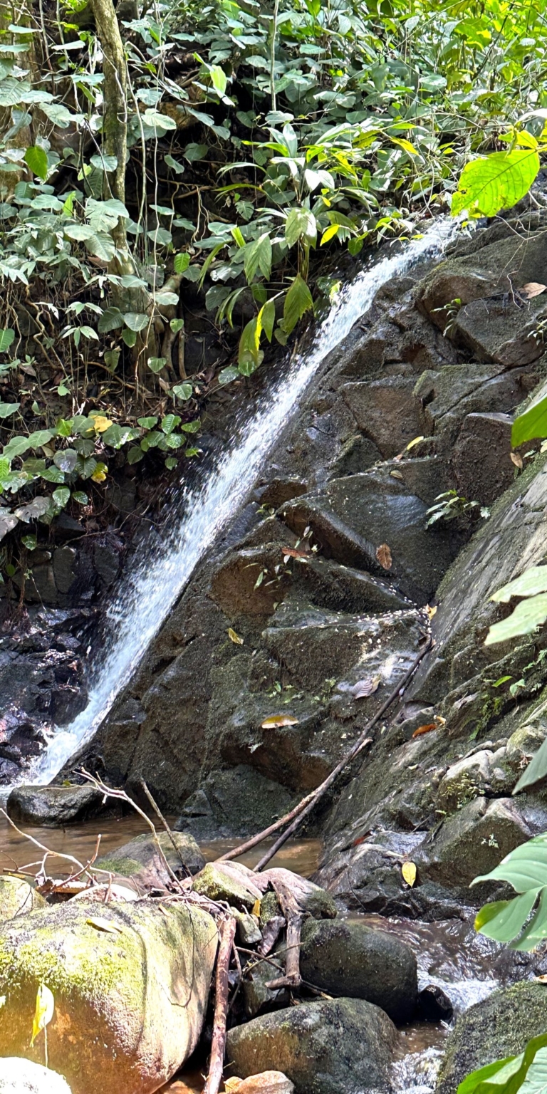 Jungle, Rivers, a Waterfall & Panoramic Ocean View with Easy Access Close to All Amenities in Ojochal Costa Rica