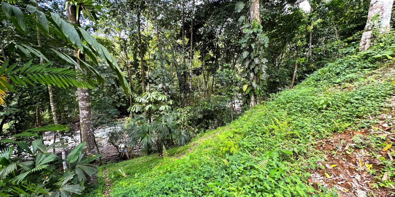 Jungle, Rivers, a Waterfall & Panoramic Ocean View with Easy Access Close to All Amenities in Ojochal Costa Rica