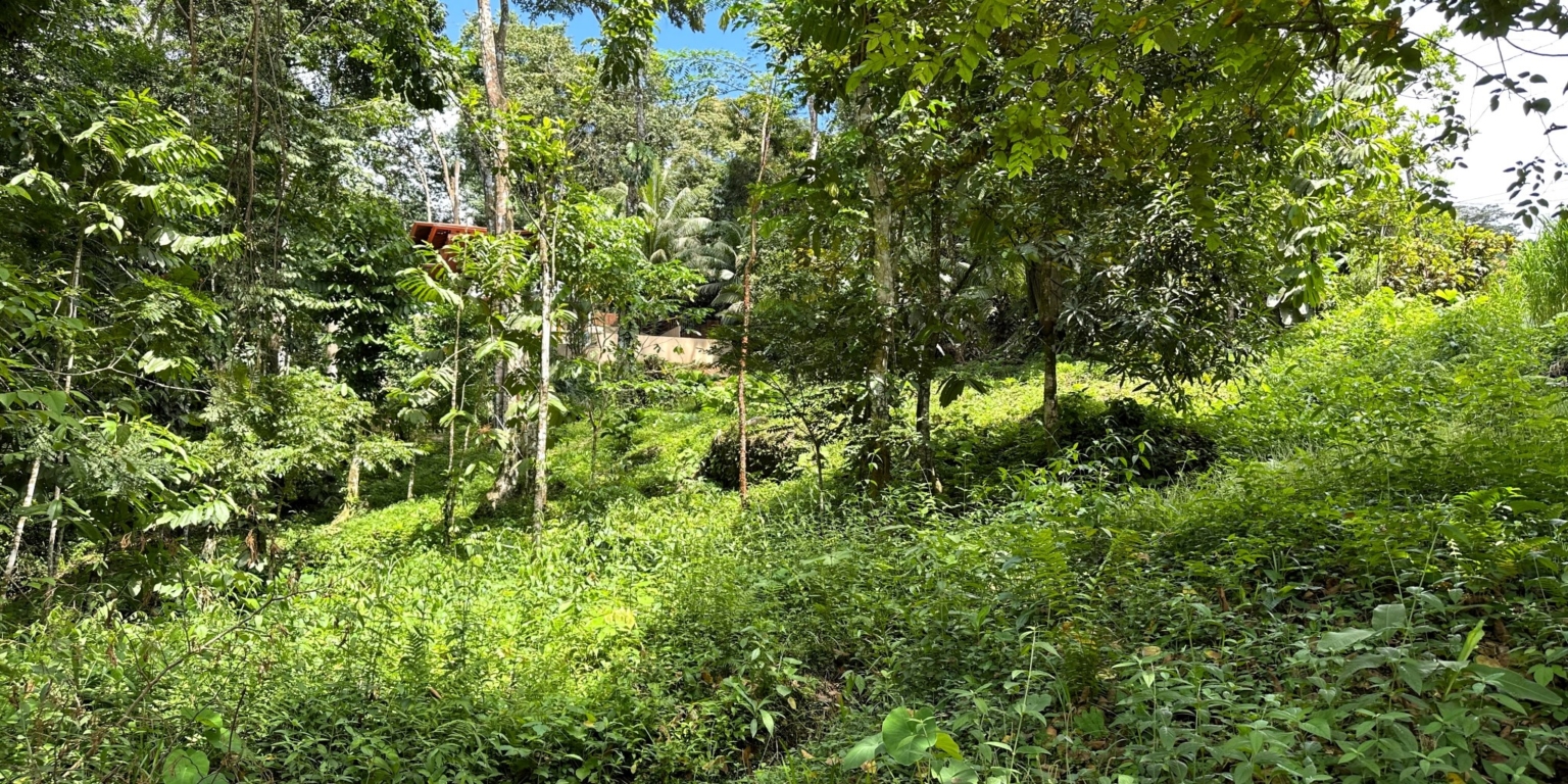Jungle, Rivers, a Waterfall & Panoramic Ocean View with Easy Access Close to All Amenities in Ojochal Costa Rica