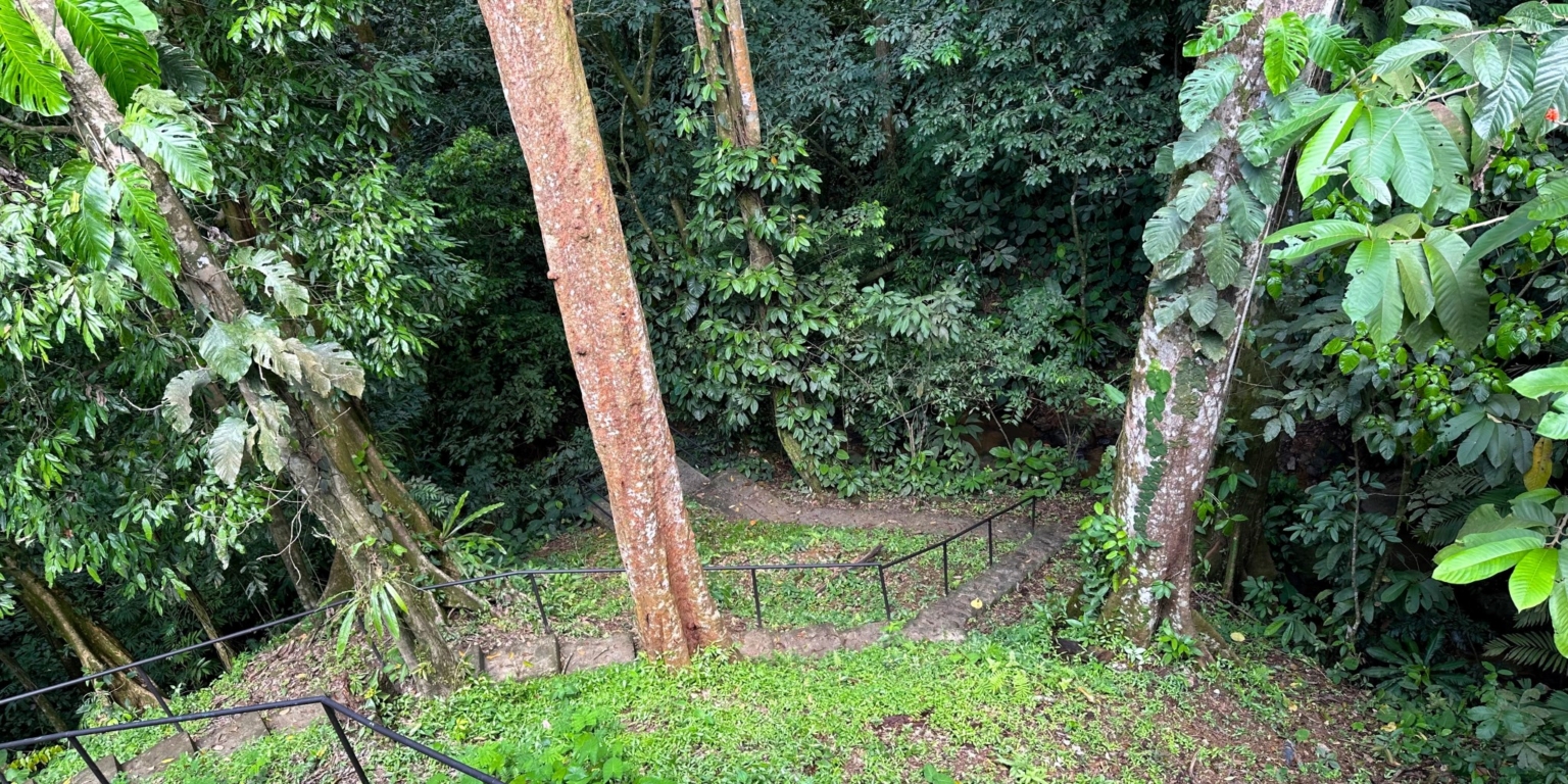 Jungle, Rivers, a Waterfall & Panoramic Ocean View with Easy Access Close to All Amenities in Ojochal Costa Rica