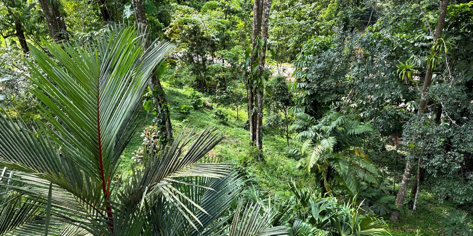 Jungle, Rivers, a Waterfall & Panoramic Ocean View with Easy Access Close to All Amenities in Ojochal Costa Rica
