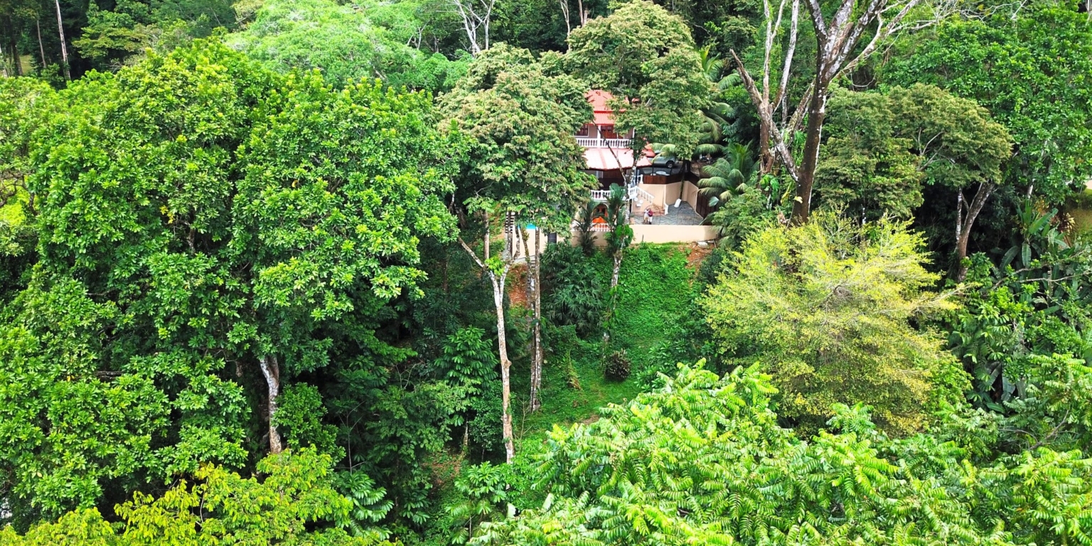 Jungle, Rivers, a Waterfall & Panoramic Ocean View with Easy Access Close to All Amenities in Ojochal Costa Rica
