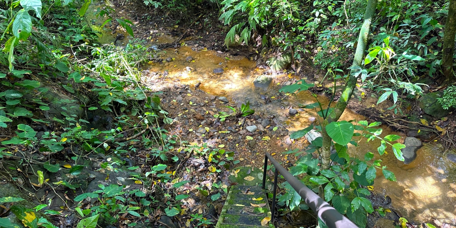 Jungle, Rivers, a Waterfall & Panoramic Ocean View with Easy Access Close to All Amenities in Ojochal Costa Rica