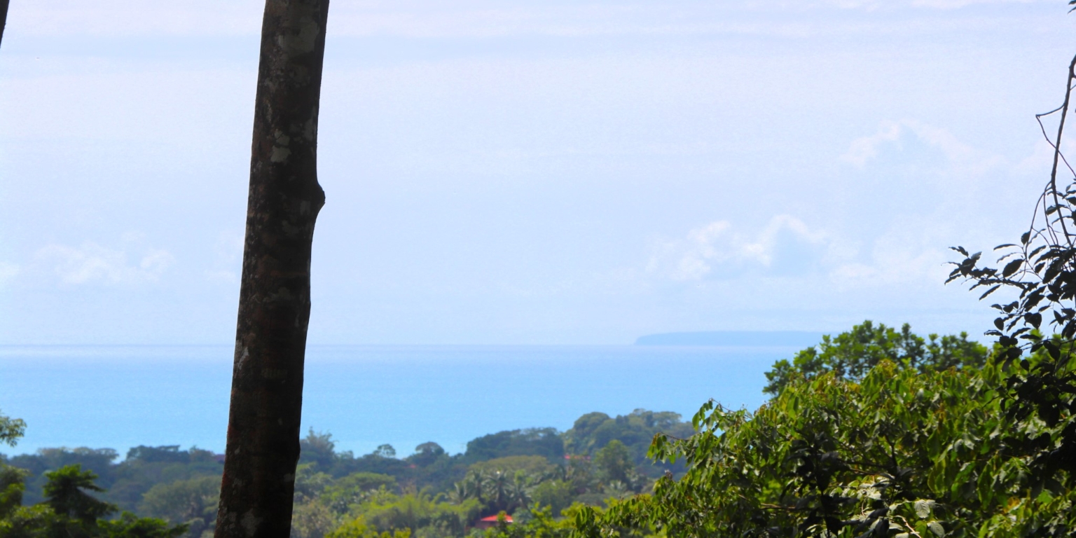 Jungle, Rivers, a Waterfall & Panoramic Ocean View with Easy Access Close to All Amenities in Ojochal Costa Rica