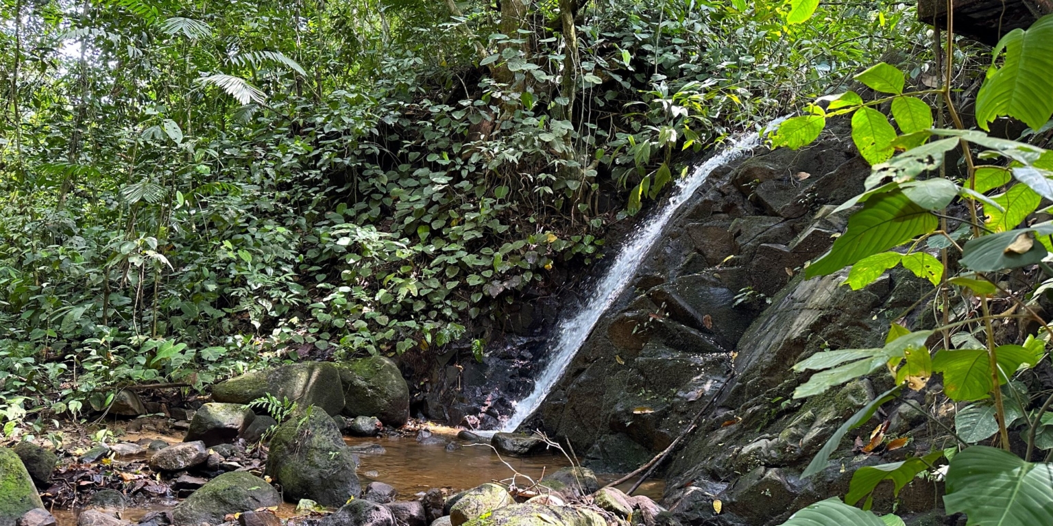 Jungle, Rivers, a Waterfall & Panoramic Ocean View with Easy Access Close to All Amenities in Ojochal Costa Rica