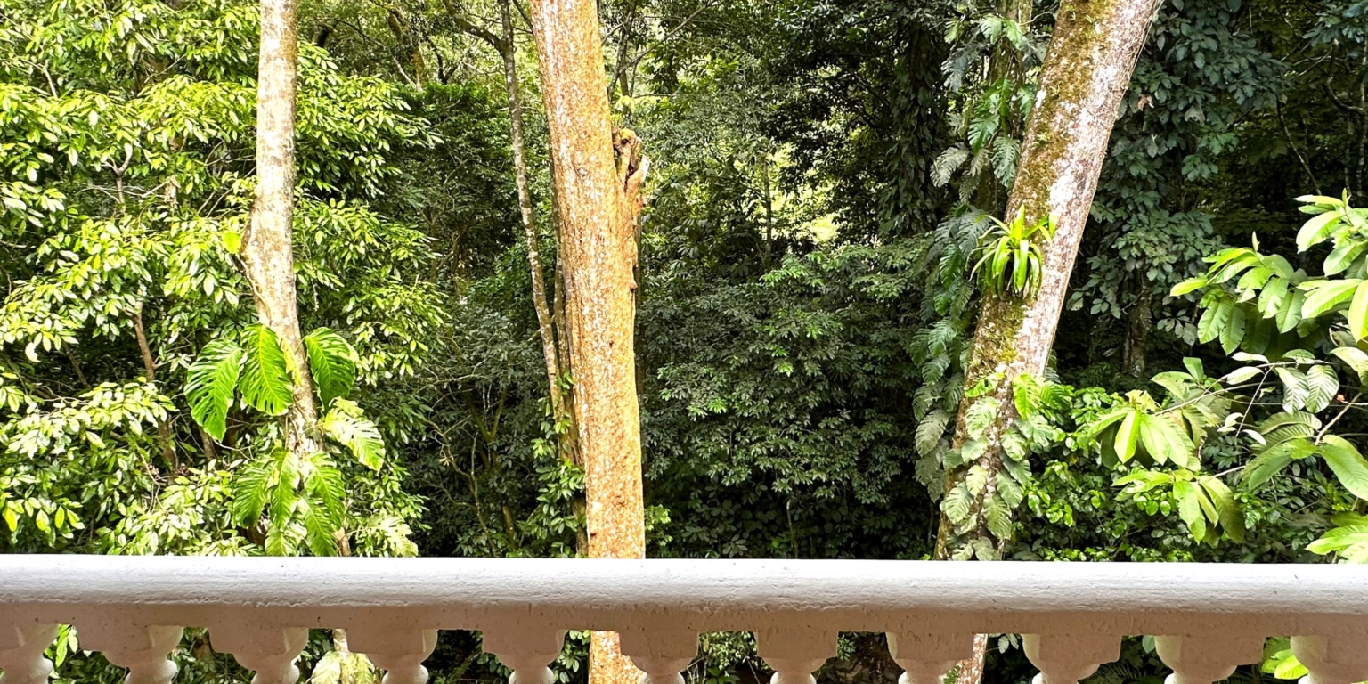 Jungle, Rivers, a Waterfall & Panoramic Ocean View with Easy Access Close to All Amenities in Ojochal Costa Rica