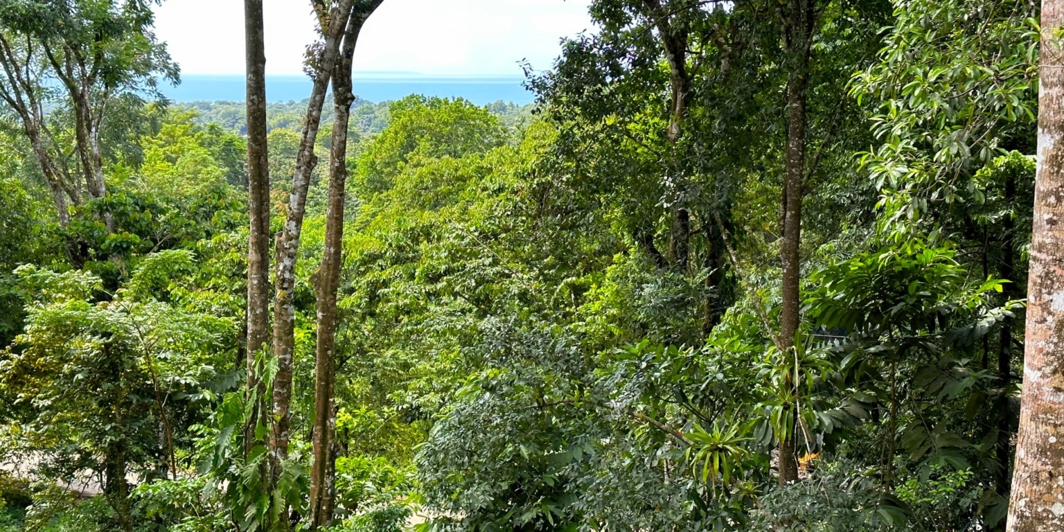 Jungle, Rivers, a Waterfall & Panoramic Ocean View with Easy Access Close to All Amenities in Ojochal Costa Rica