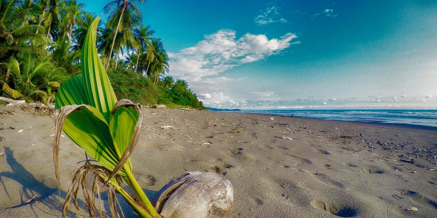 Newly Renovated 2BR Home Walking Distance to Beach in Dominicalito Costa Rica Newly Renovated 2BR Home Walking Distance to Beach in Dominicalito Costa Rica