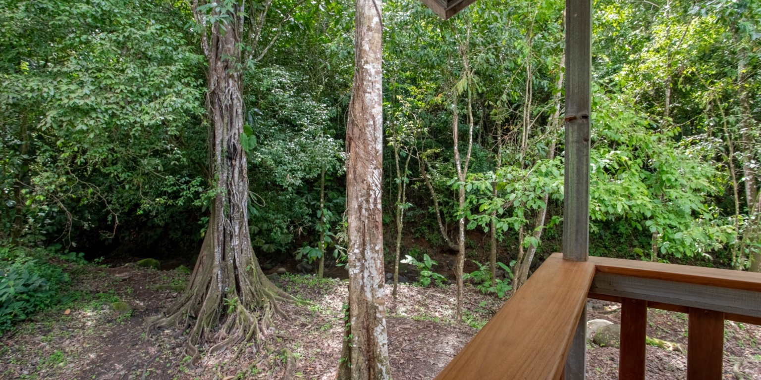 Prime Investment Fixer Upper Opportunity in Premier Location in Uvita Costa Rica Prime Investment Fixer Upper Opportunity in Premier Location in Uvita Costa Rica
