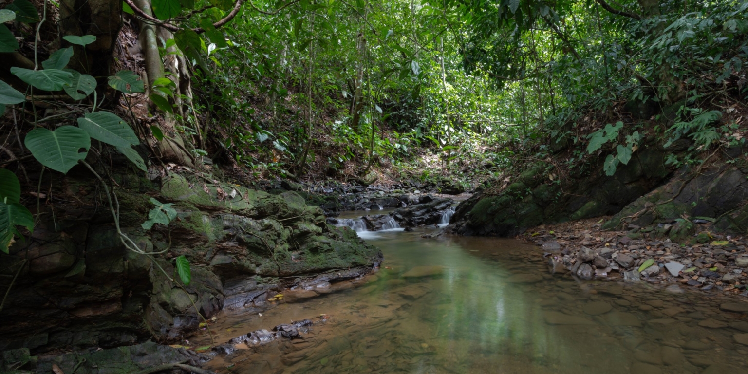 Prime Investment Fixer Upper Opportunity in Premier Location in Uvita Costa Rica Prime Investment Fixer Upper Opportunity in Premier Location in Uvita Costa Rica