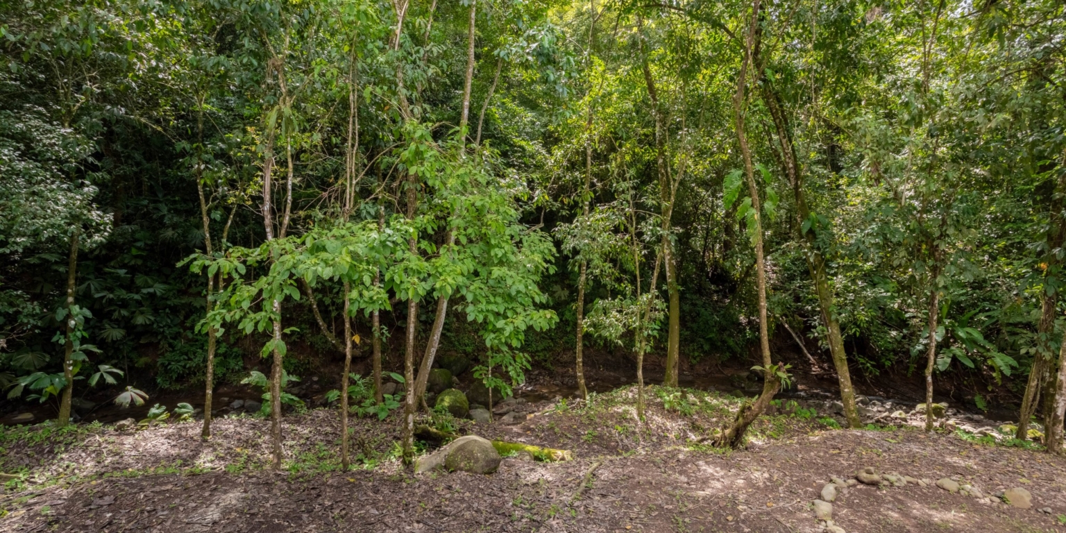 Prime Investment Fixer Upper Opportunity in Premier Location in Uvita Costa Rica Prime Investment Fixer Upper Opportunity in Premier Location in Uvita Costa Rica