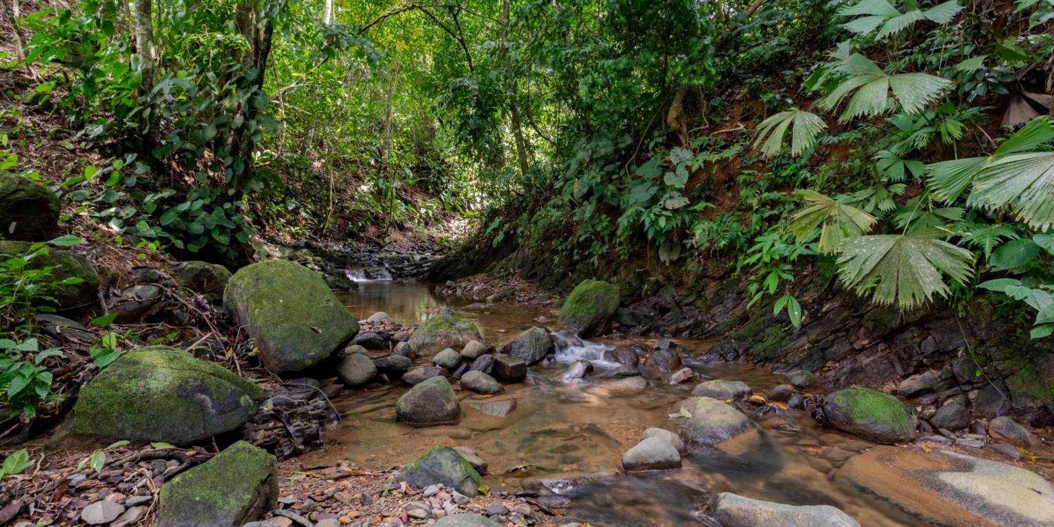 Prime Investment Fixer Upper Opportunity in Premier Location in Uvita Costa Rica Prime Investment Fixer Upper Opportunity in Premier Location in Uvita Costa Rica