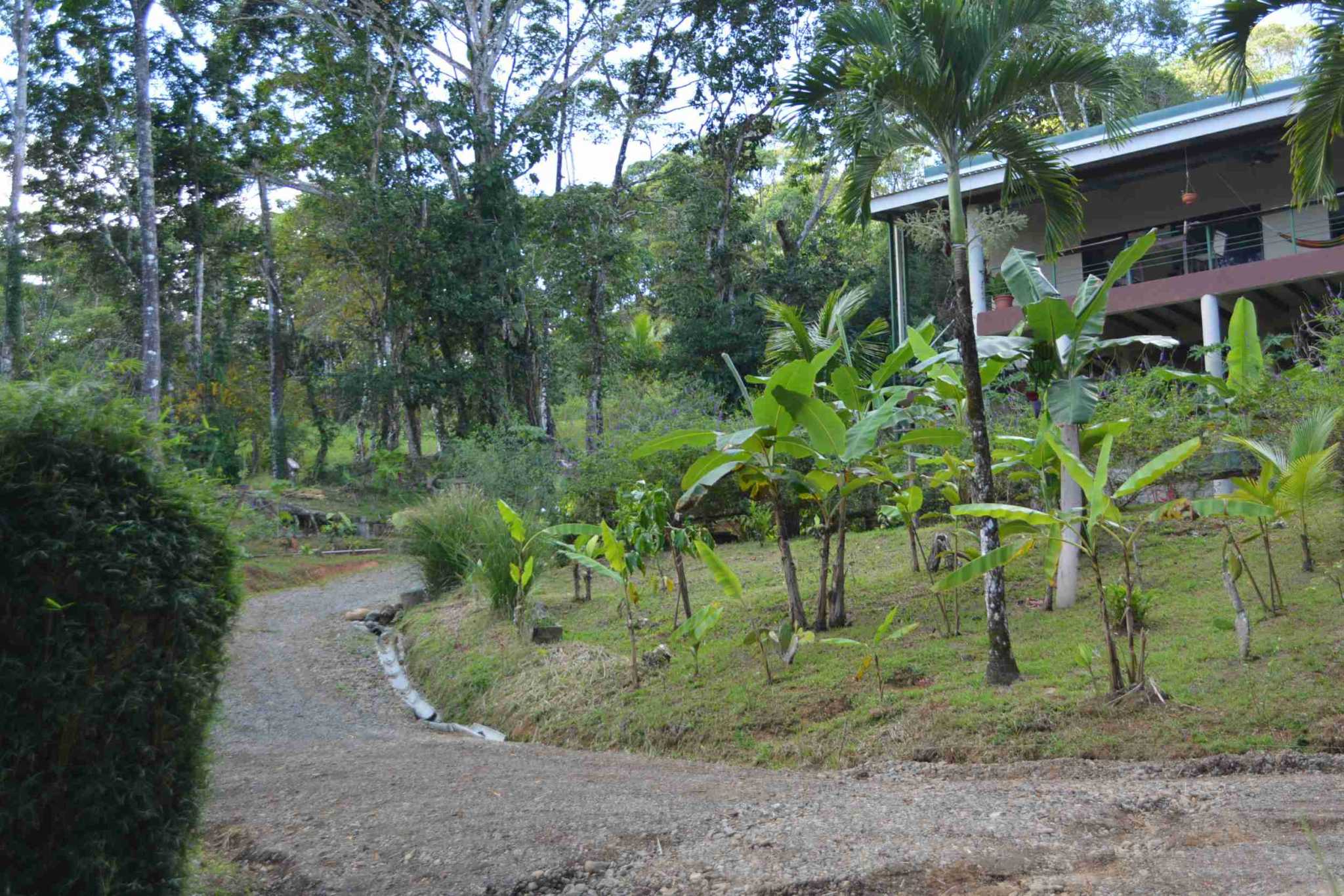 19999-puntamiralagunas (43) New 3-Bedroom Home with Beautiful Mountain Views in Punta Mira near Lagunas Costa Rica