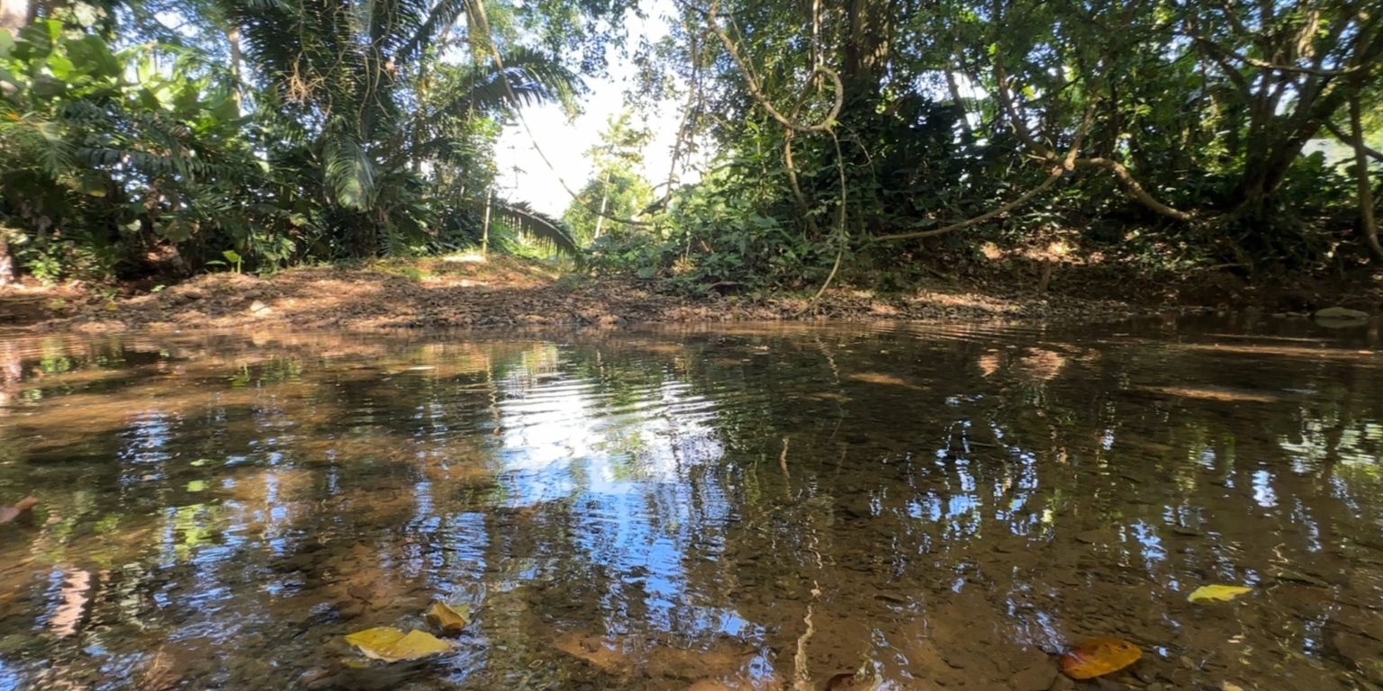 Breezes, Trees & Monkeys – Your Affordable 3-Bedroom Costa Rican Haven with Cabina in Uvita Costa Rica Breezes, Trees & Monkeys – Your Affordable 3-Bedroom Costa Rican Haven with Cabina in Uvita Costa Rica
