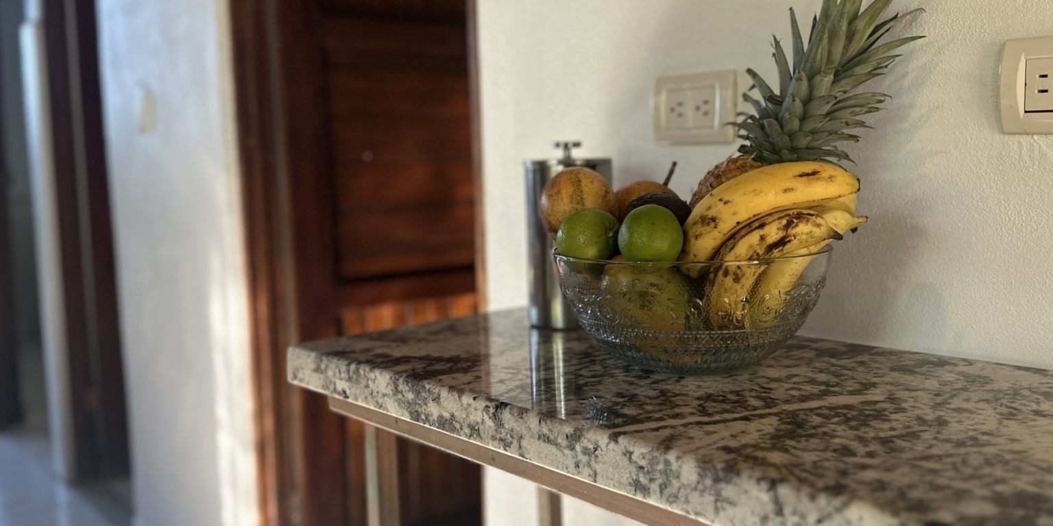 Breezes, Trees & Monkeys – Your Affordable 3-Bedroom Costa Rican Haven with Cabina in Uvita Costa Rica Breezes, Trees & Monkeys – Your Affordable 3-Bedroom Costa Rican Haven with Cabina in Uvita Costa Rica