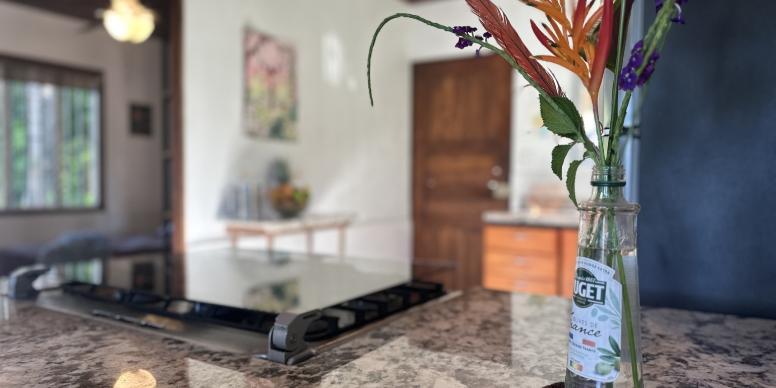 Breezes, Trees & Monkeys – Your Affordable 3-Bedroom Costa Rican Haven with Cabina in Uvita Costa Rica Breezes, Trees & Monkeys – Your Affordable 3-Bedroom Costa Rican Haven with Cabina in Uvita Costa Rica