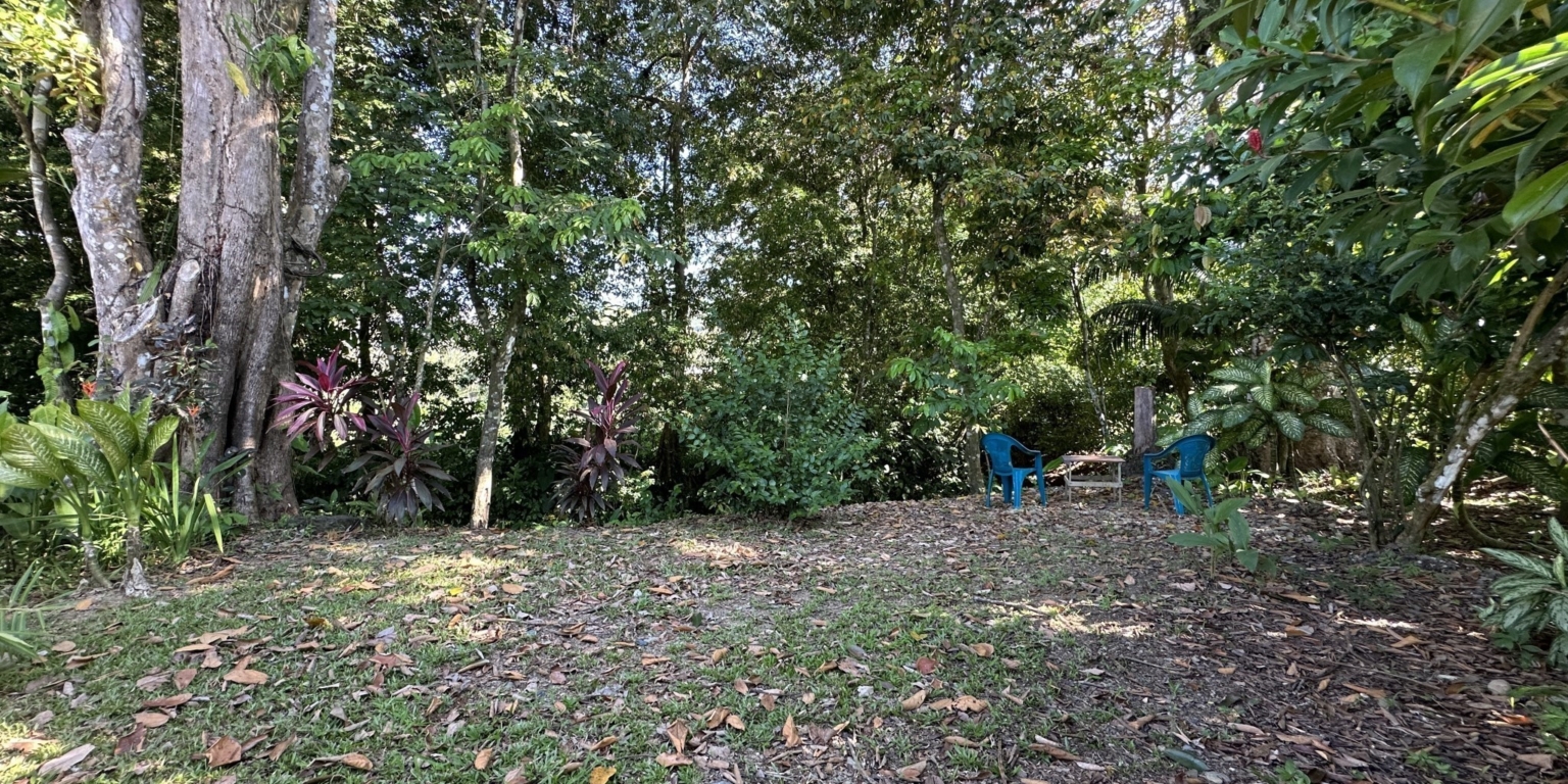 Breezes, Trees & Monkeys – Your Affordable 3-Bedroom Costa Rican Haven with Cabina in Uvita Costa Rica Breezes, Trees & Monkeys – Your Affordable 3-Bedroom Costa Rican Haven with Cabina in Uvita Costa Rica